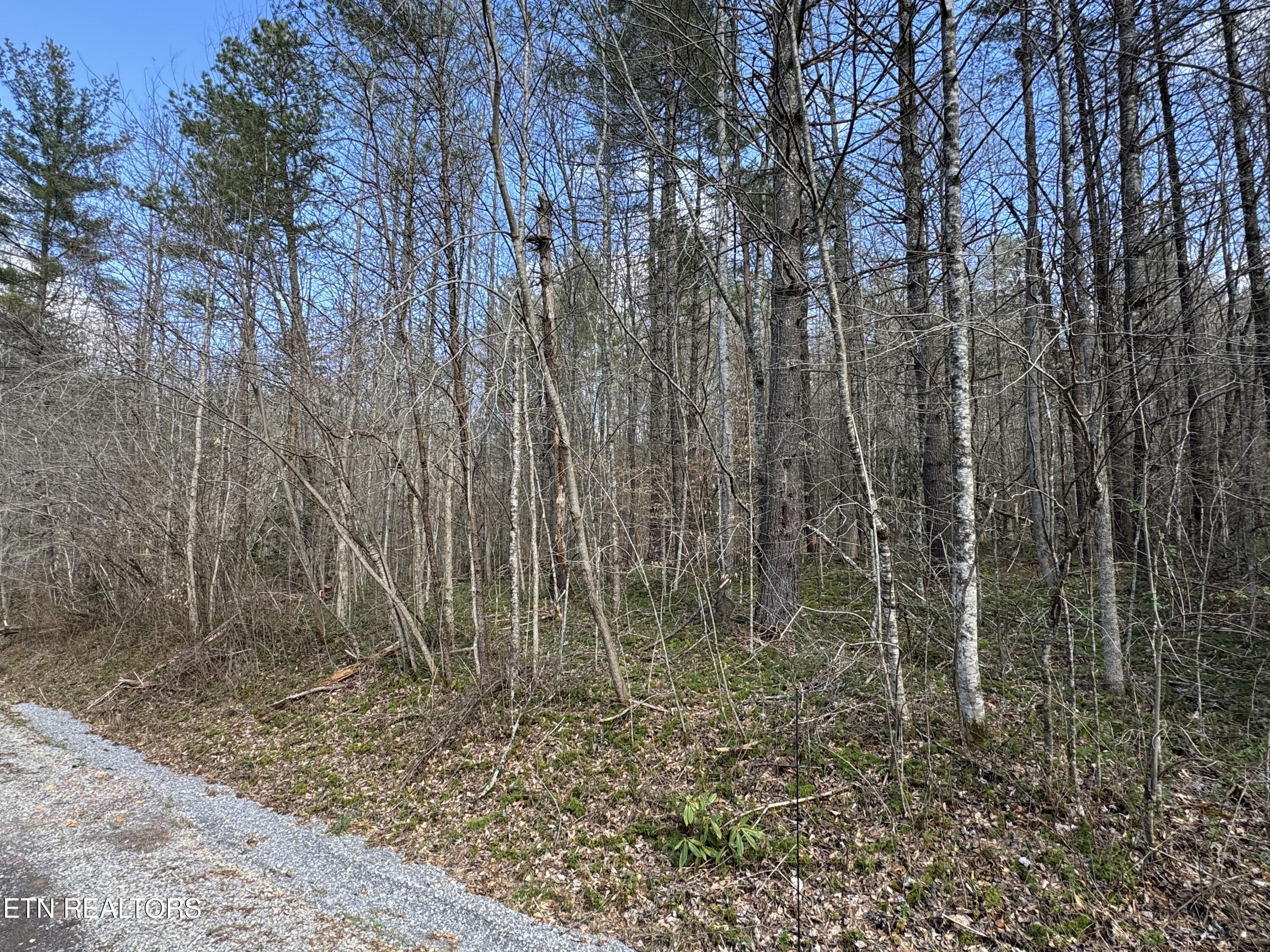 Cougar Trail Del Rio TN 37727