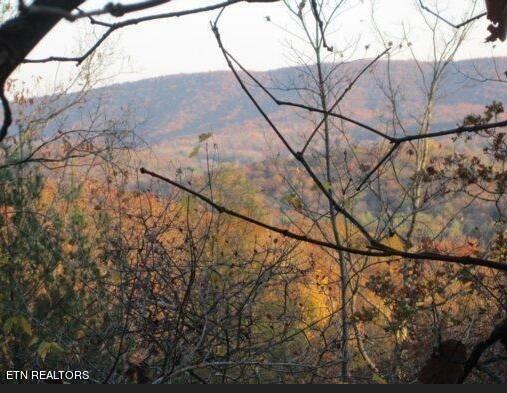Green Ridge Trails - Lot #7 Harriman TN 37748