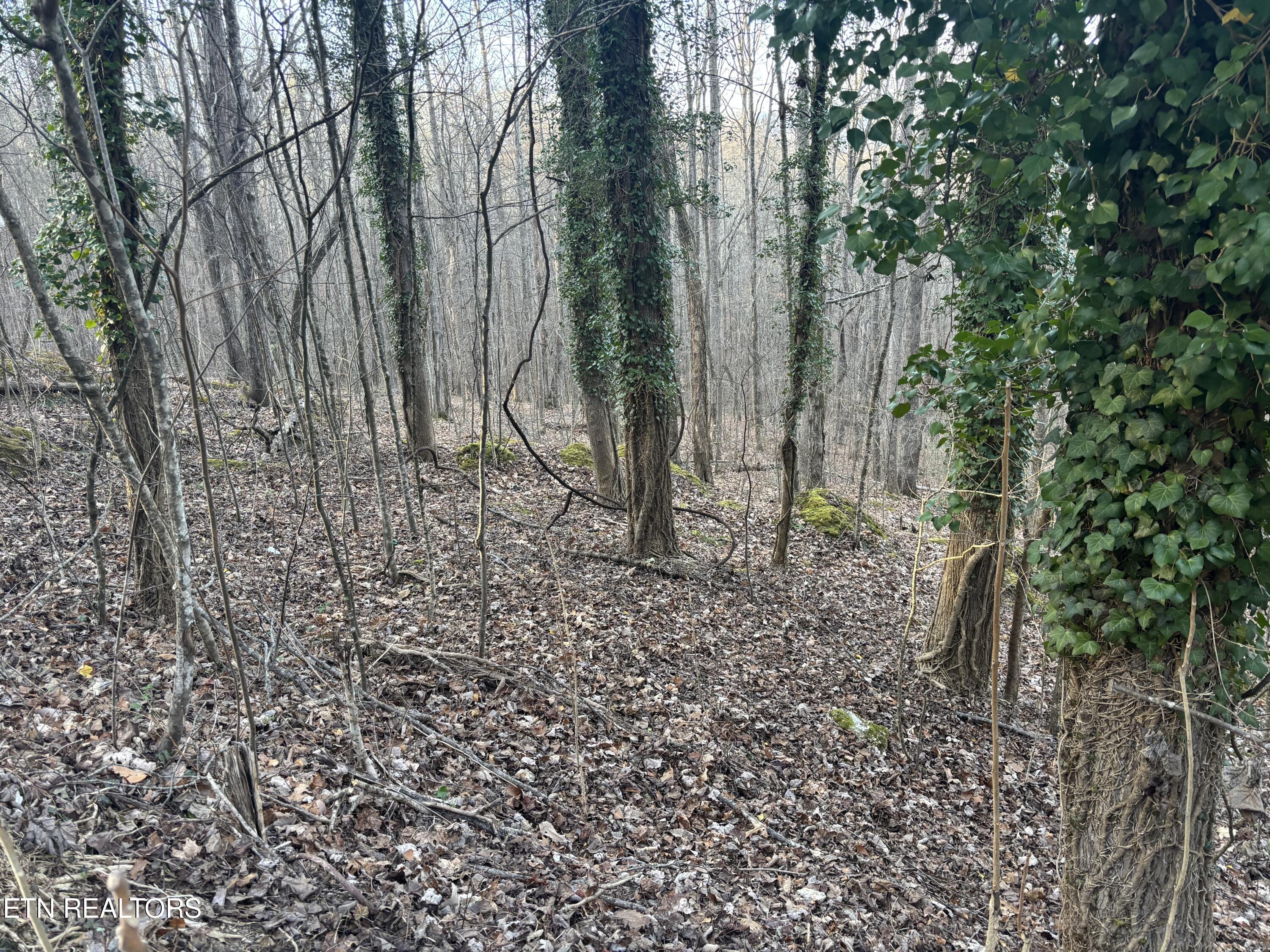 Kay Drive Lafollette TN 37766