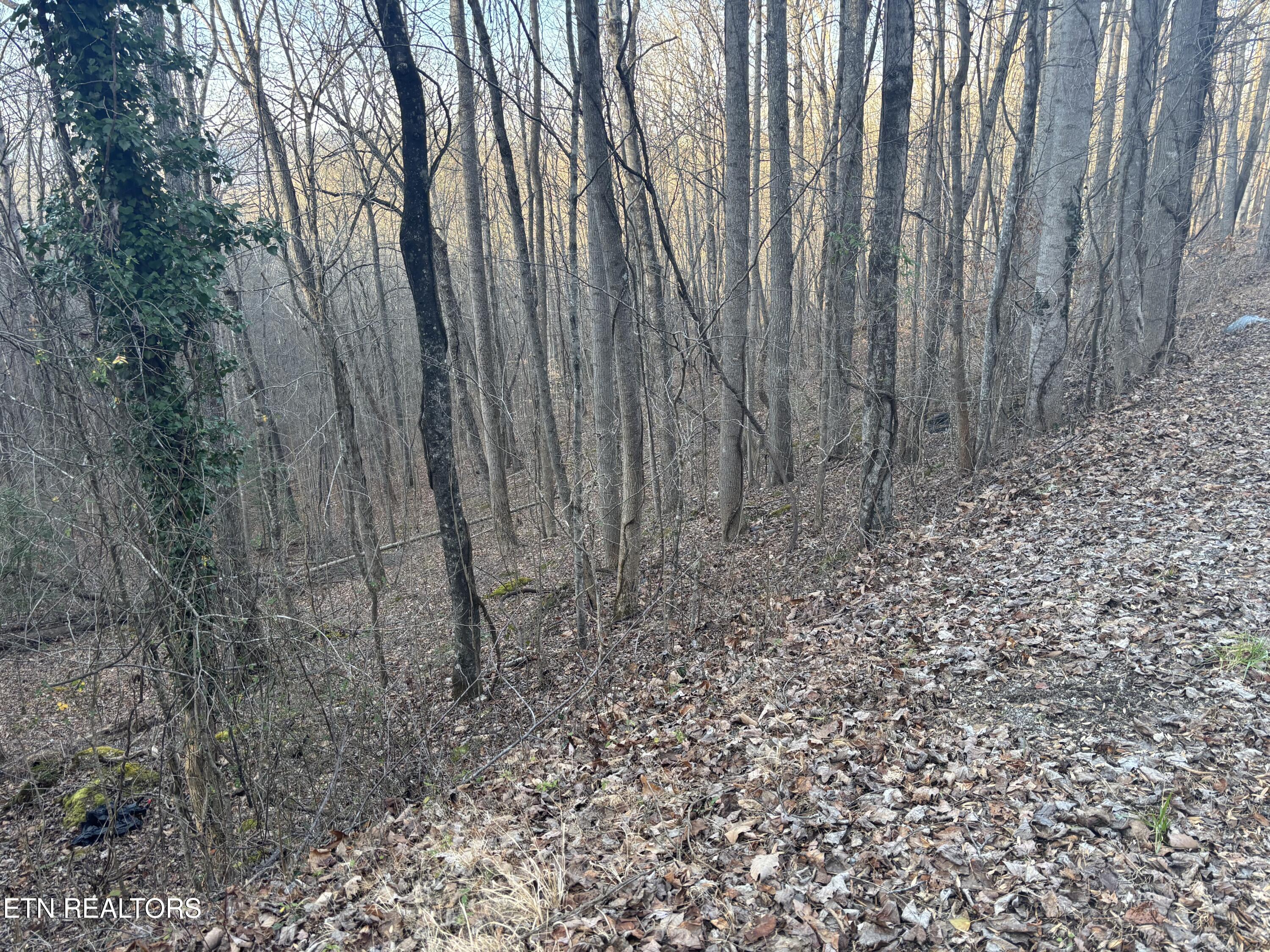 Kay Drive Lafollette TN 37766