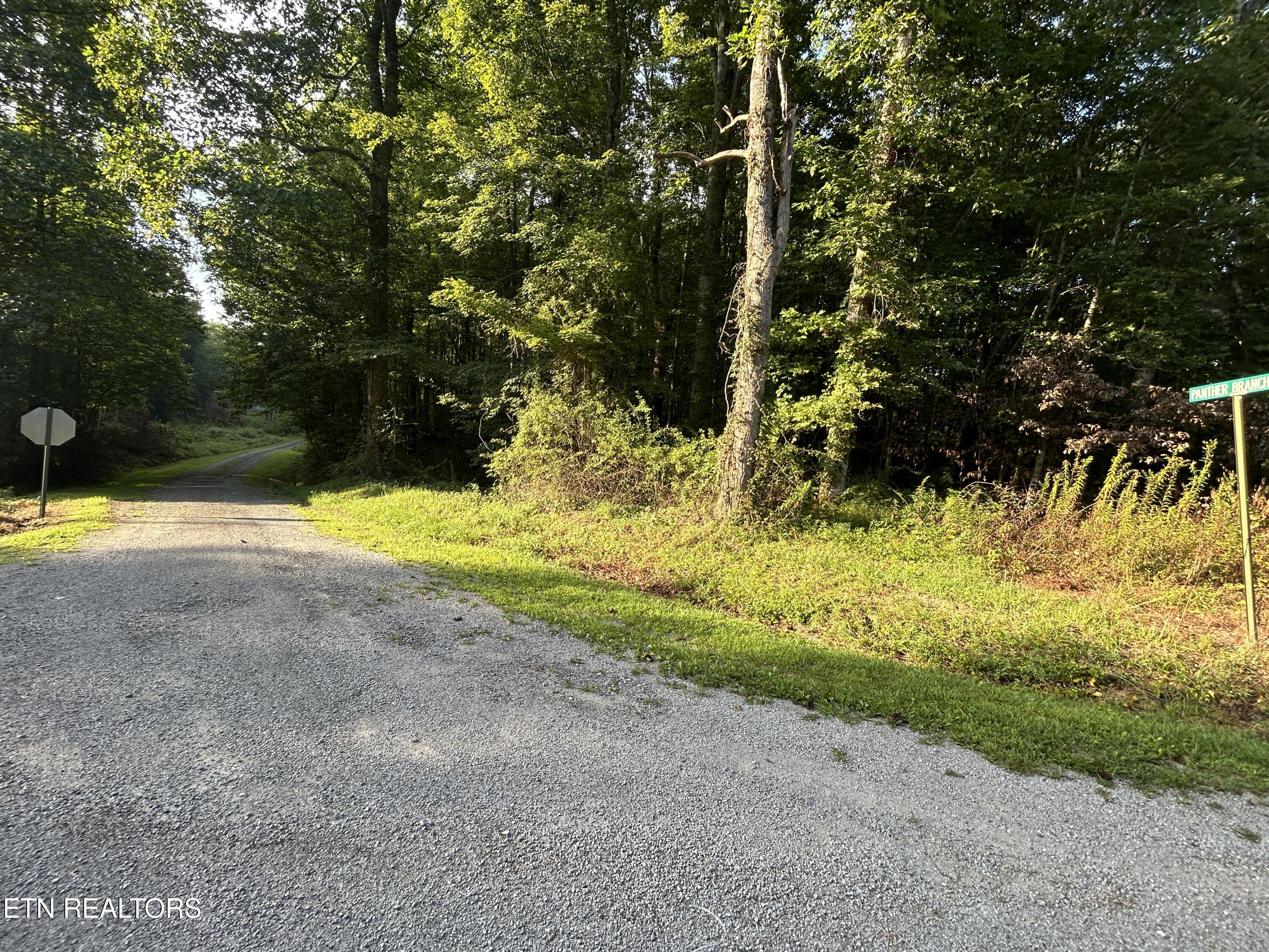 Panther Branch Road Jamestown TN 38556