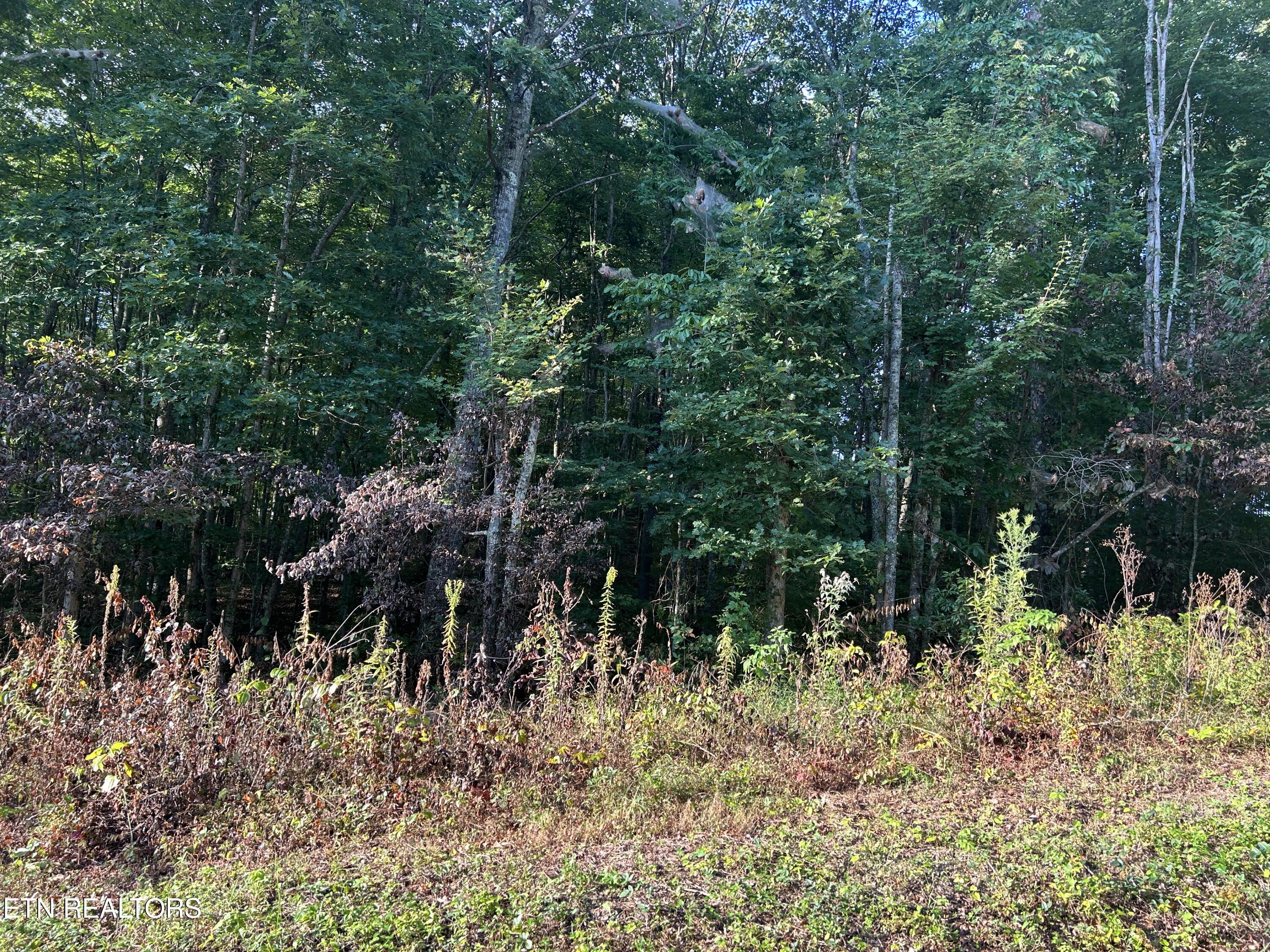 Panther Branch Road Jamestown TN 38556
