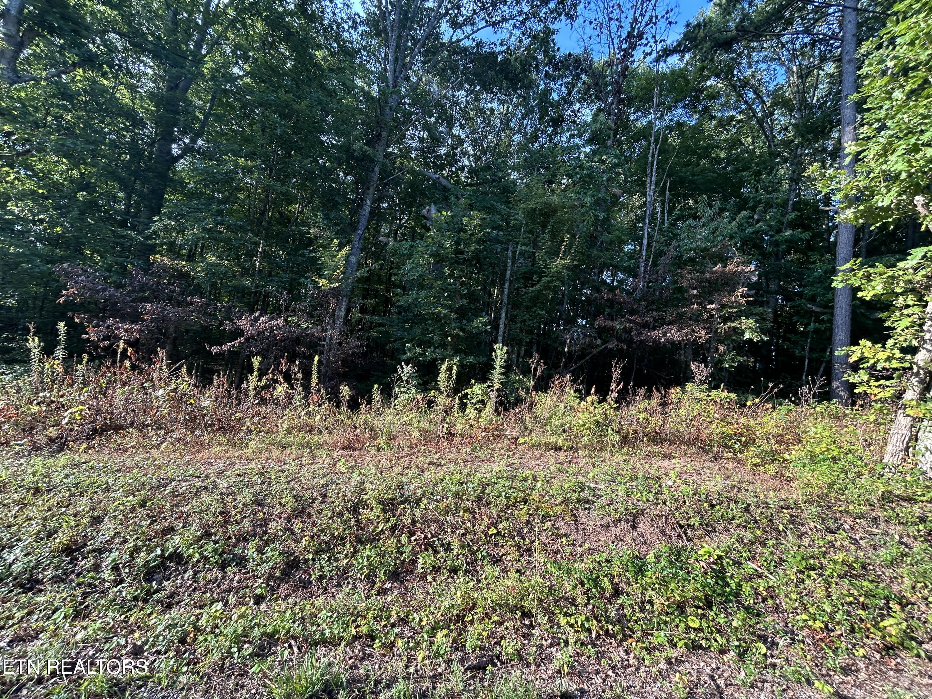 Panther Branch Road Jamestown TN 38556