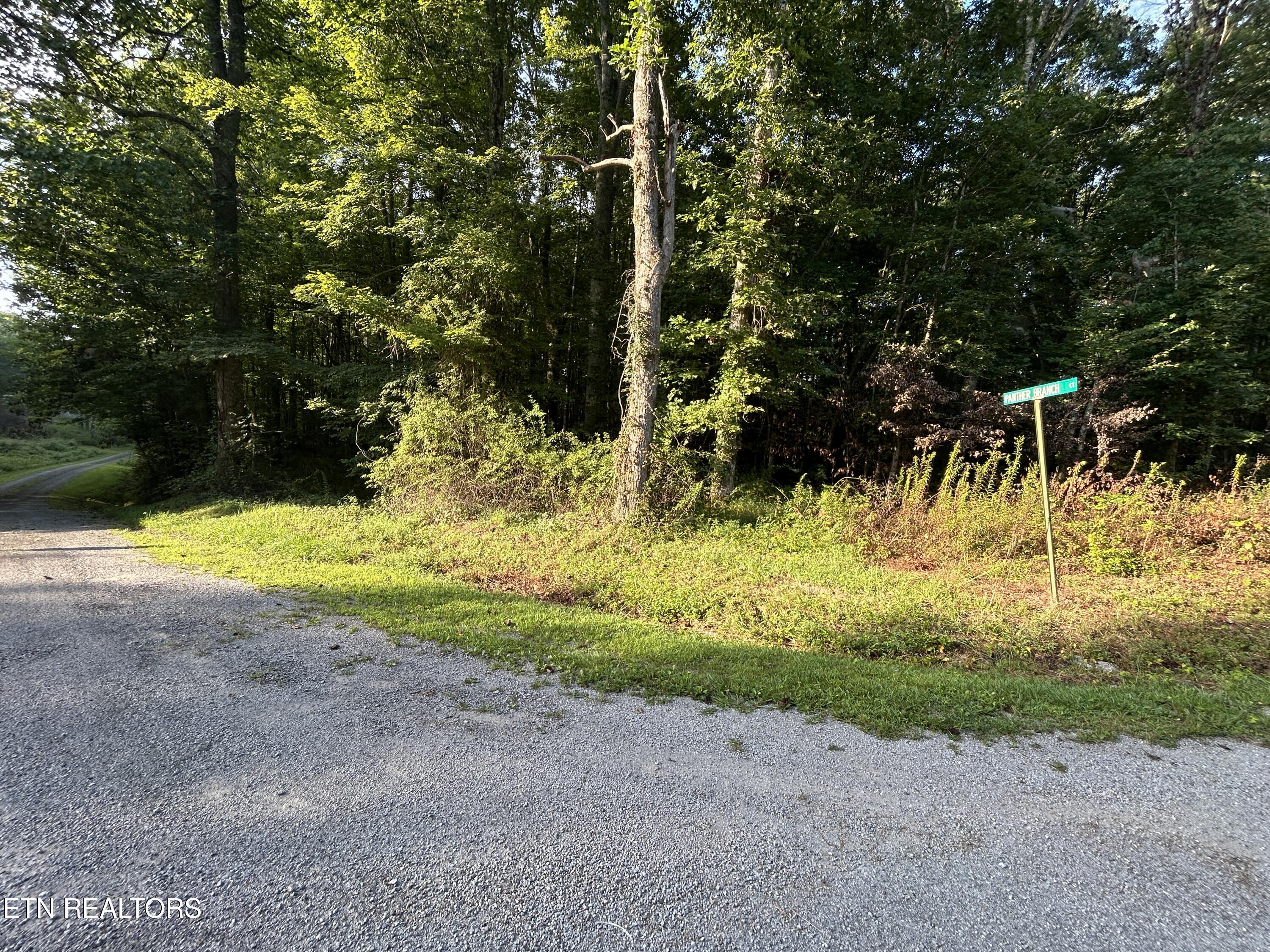 Panther Branch Road Jamestown TN 38556
