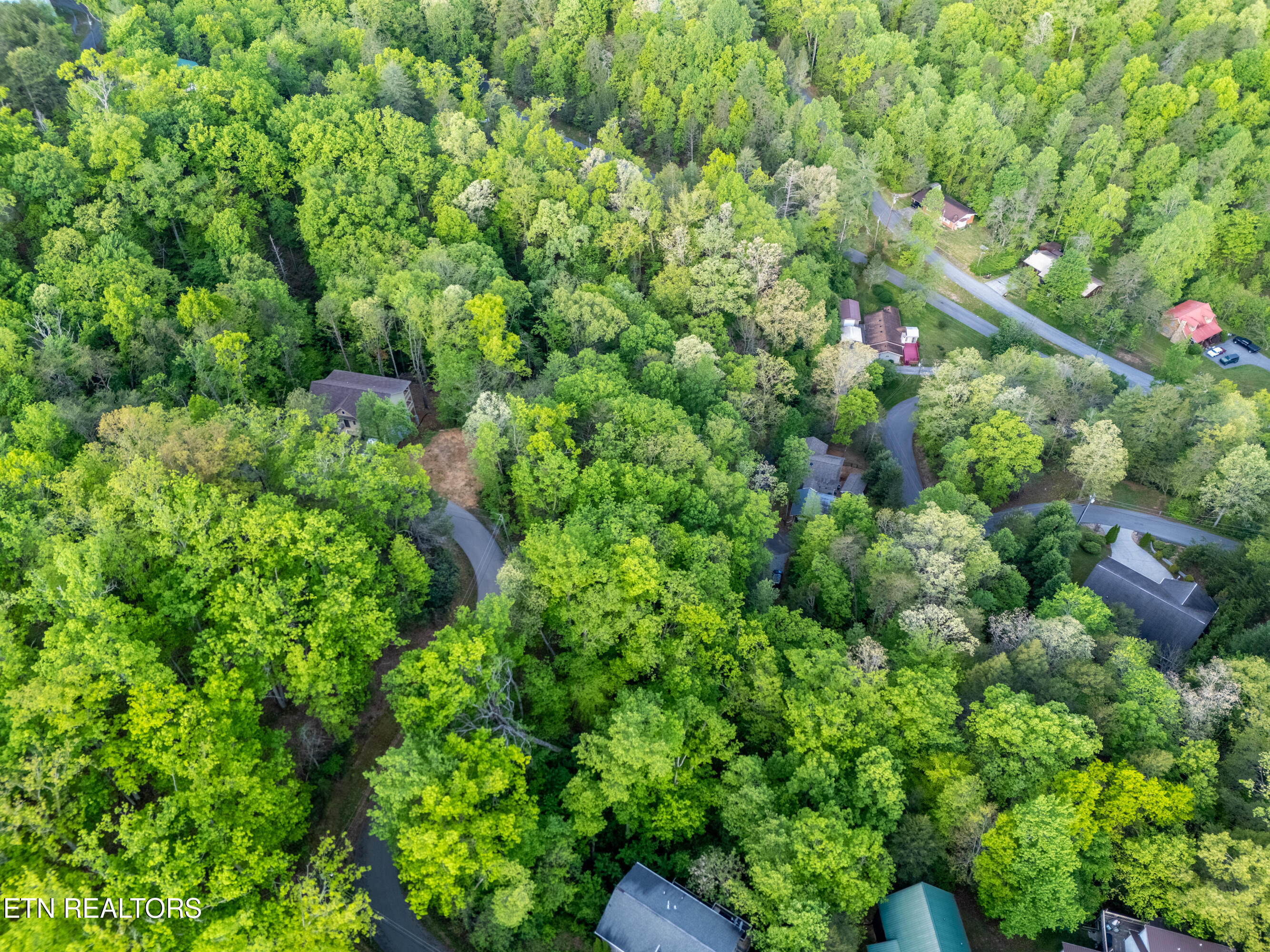 0 Monte Wood Circle Pigeon Forge TN 37863