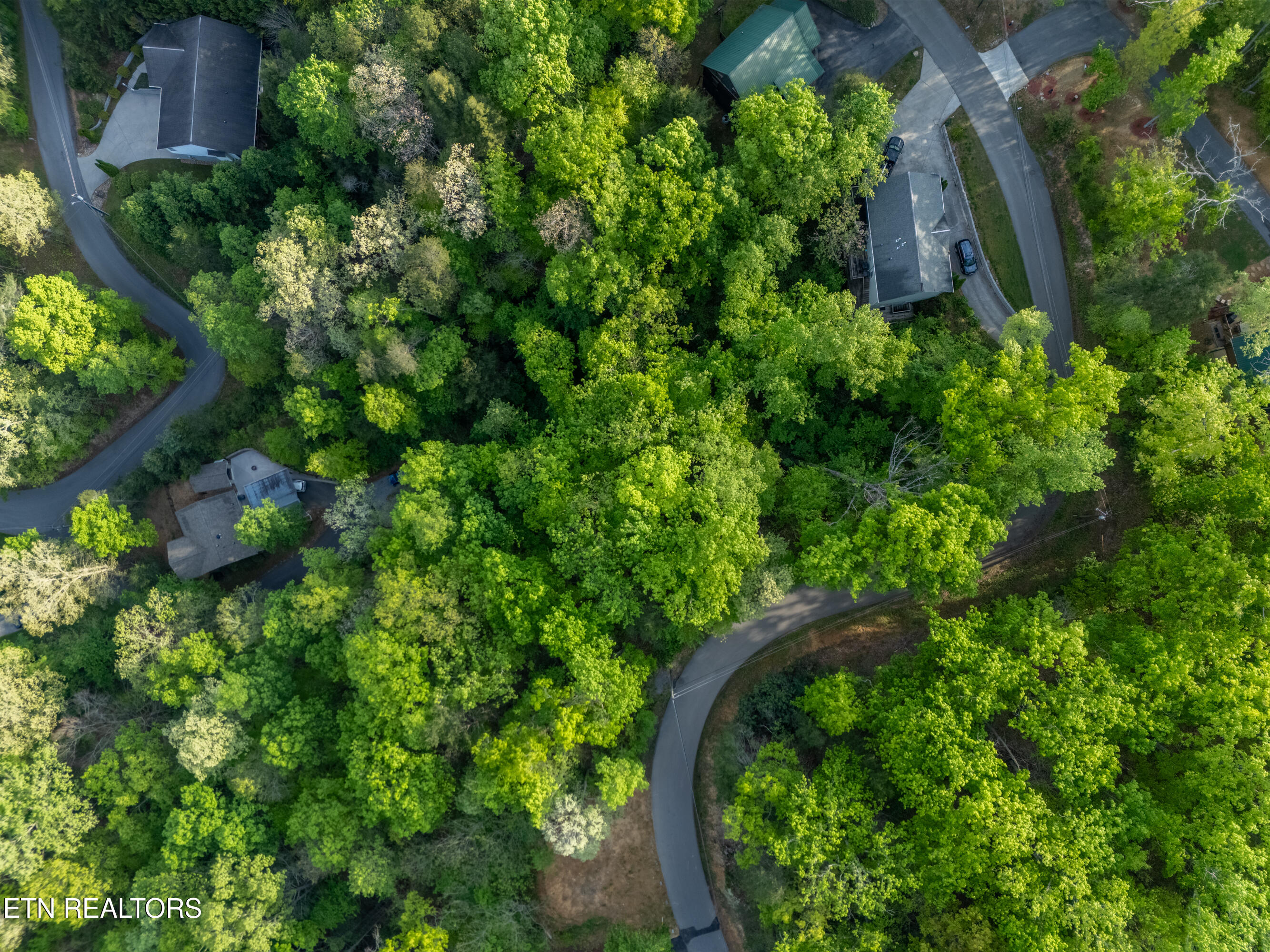 0 Monte Wood Circle Pigeon Forge TN 37863