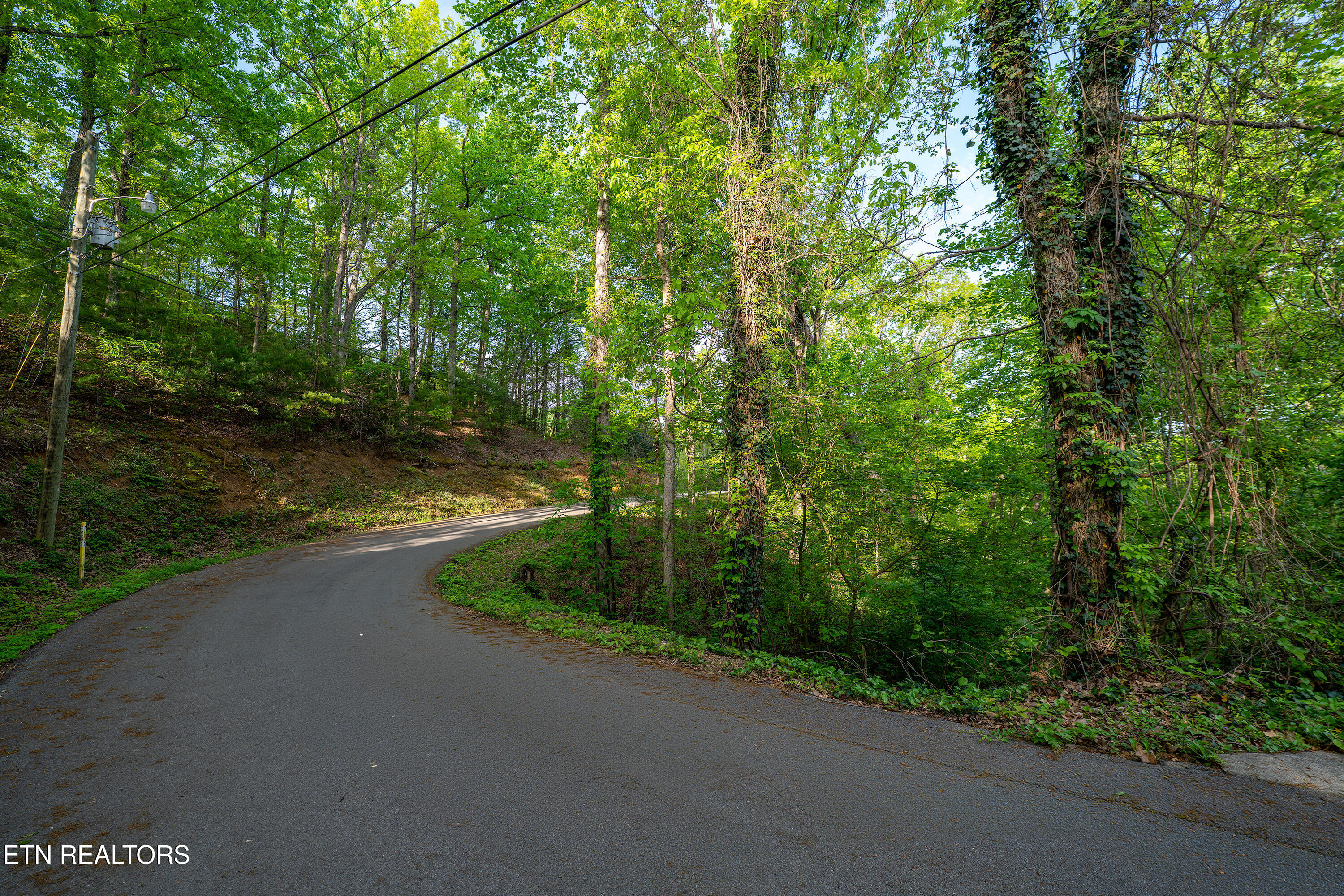 0 Monte Wood Circle Pigeon Forge TN 37863