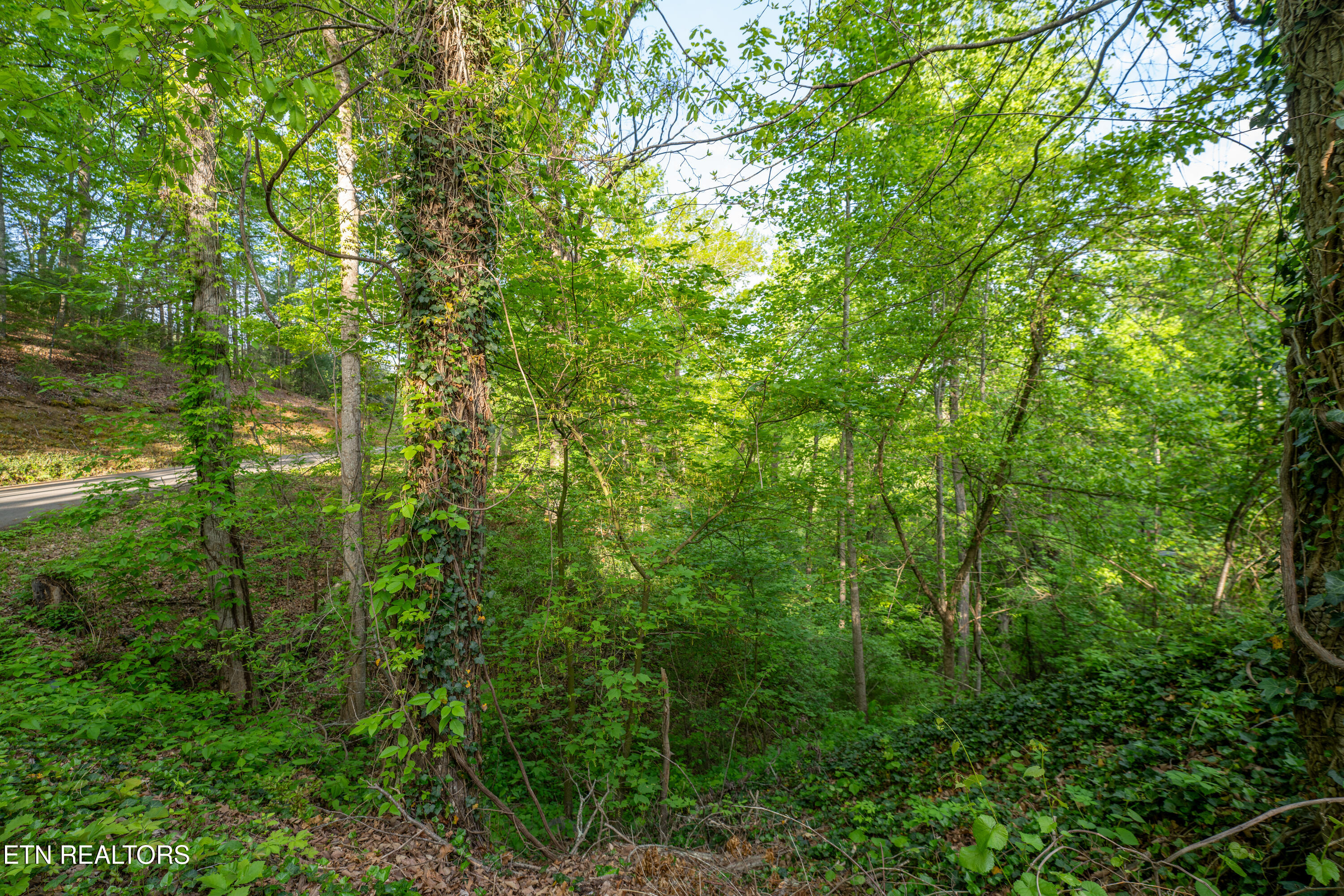 0 Monte Wood Circle Pigeon Forge TN 37863