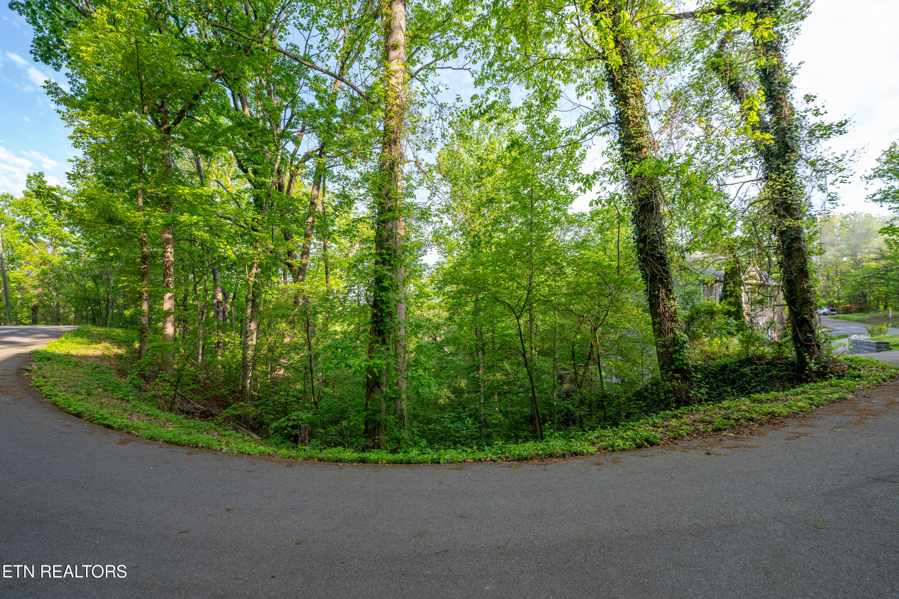 0 Monte Wood Circle Pigeon Forge TN 37863