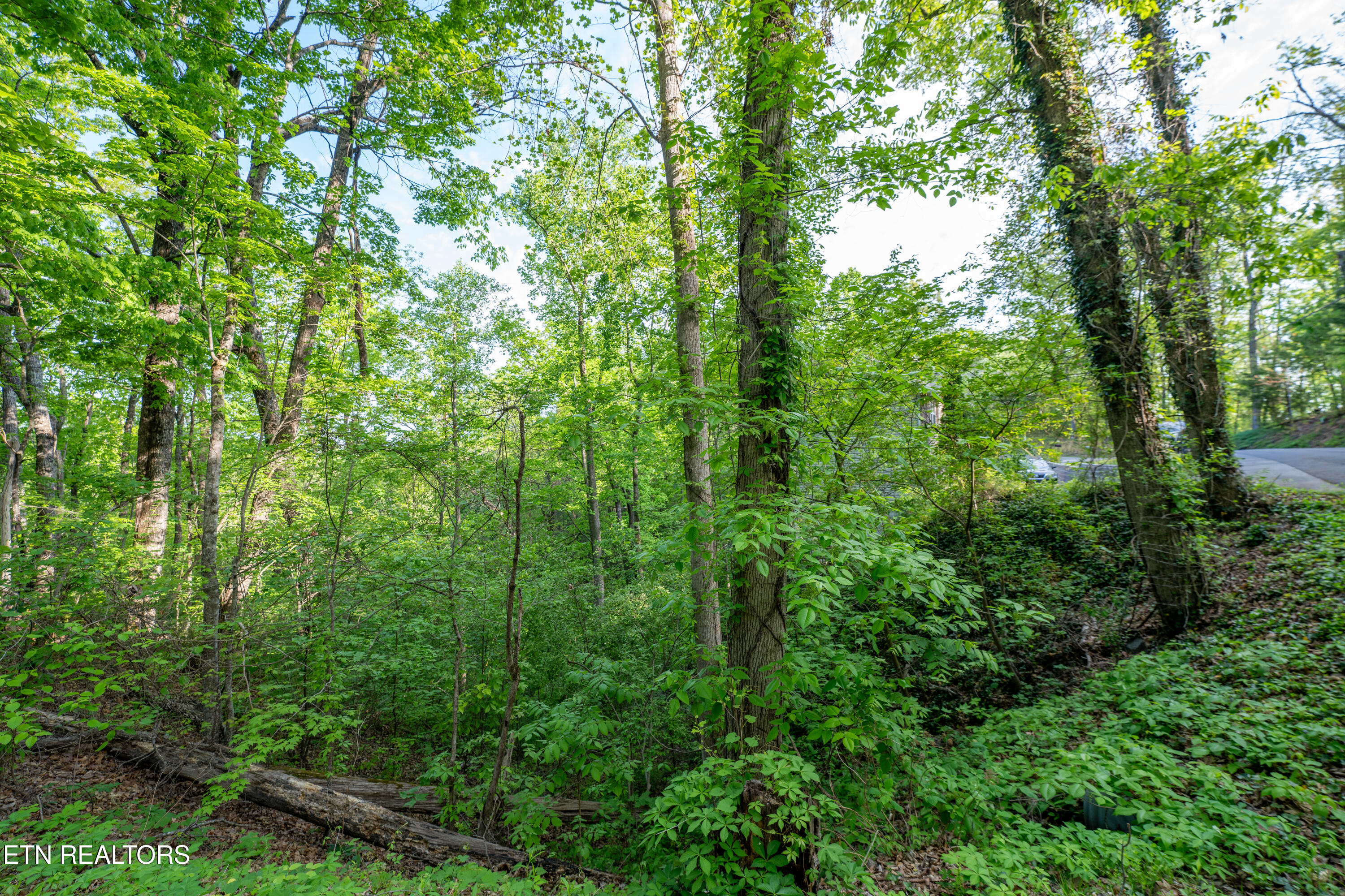 0 Monte Wood Circle Pigeon Forge TN 37863