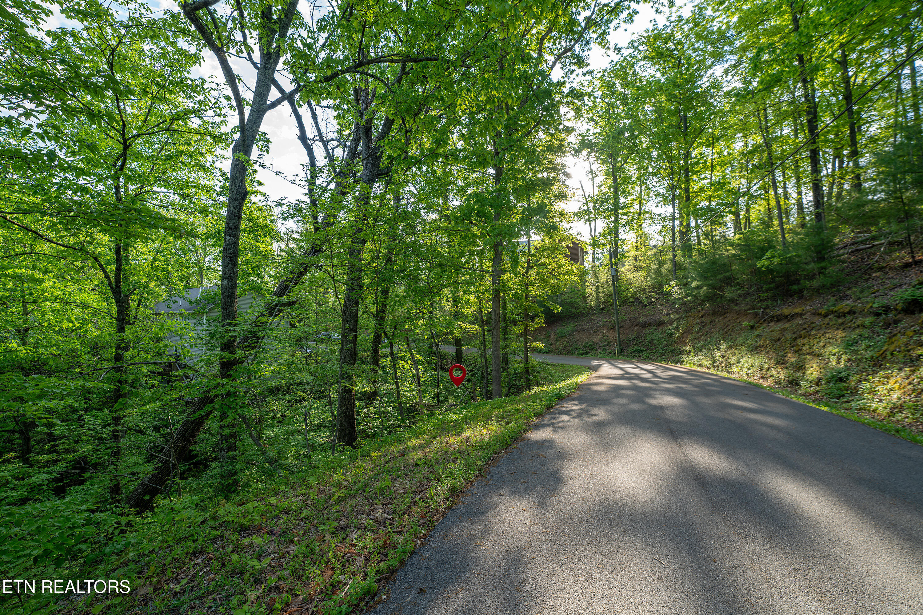 0 Monte Wood Circle Pigeon Forge TN 37863