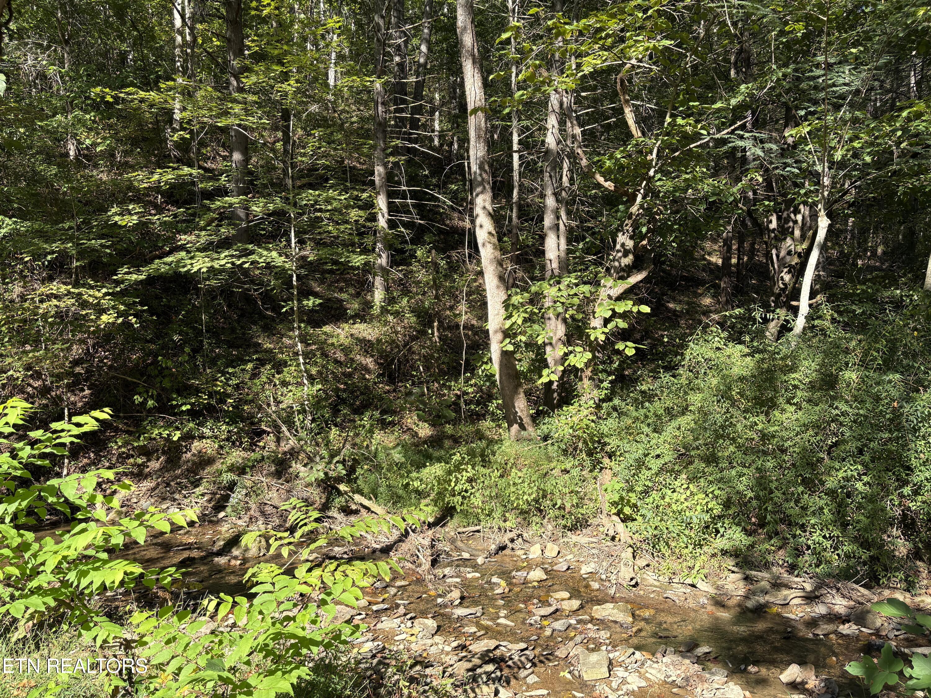 N Clearfork Road Sevierville TN 37862