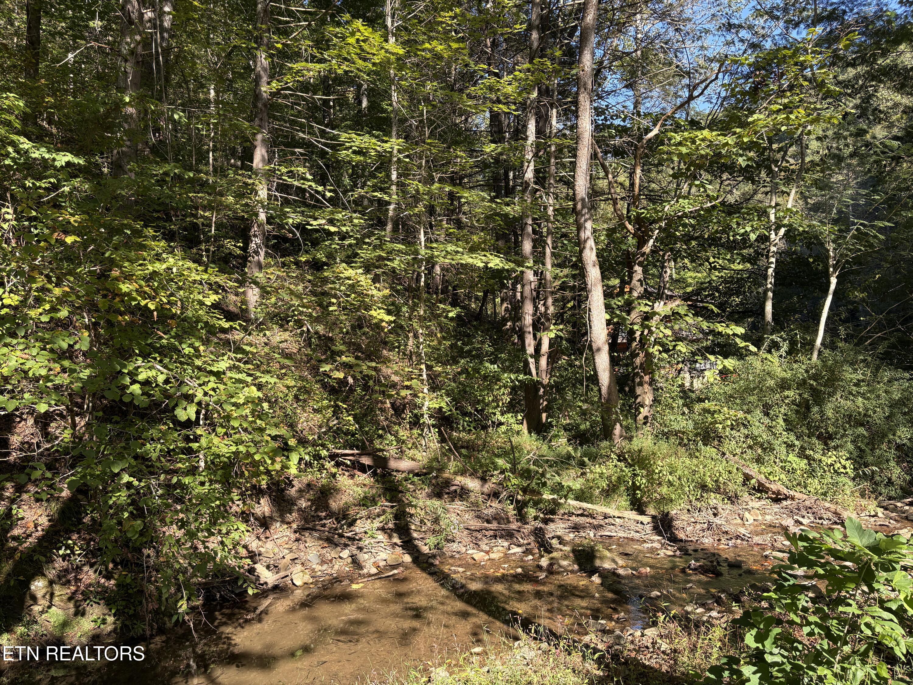 N Clearfork Road Sevierville TN 37862