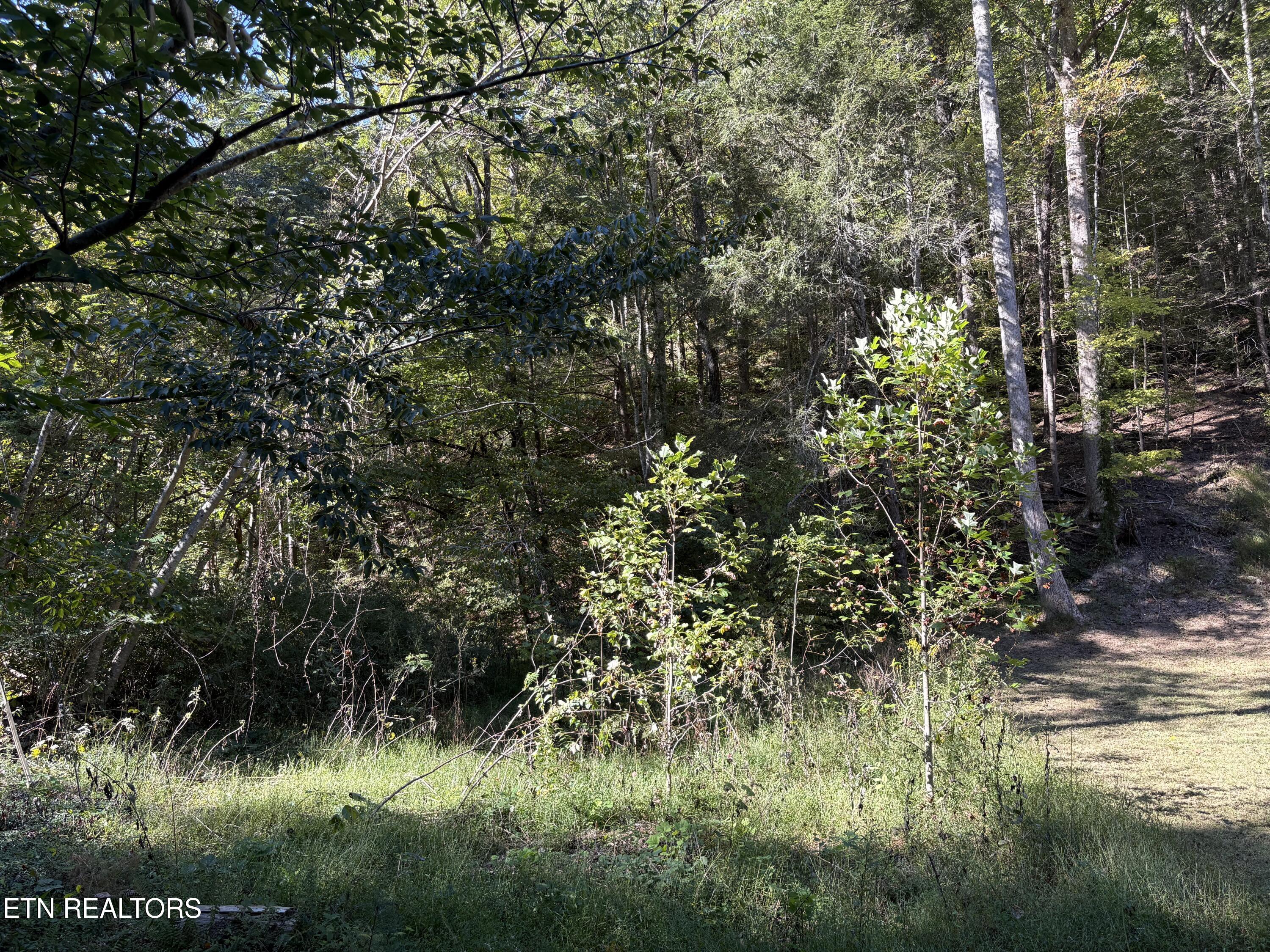 N Clearfork Road Sevierville TN 37862
