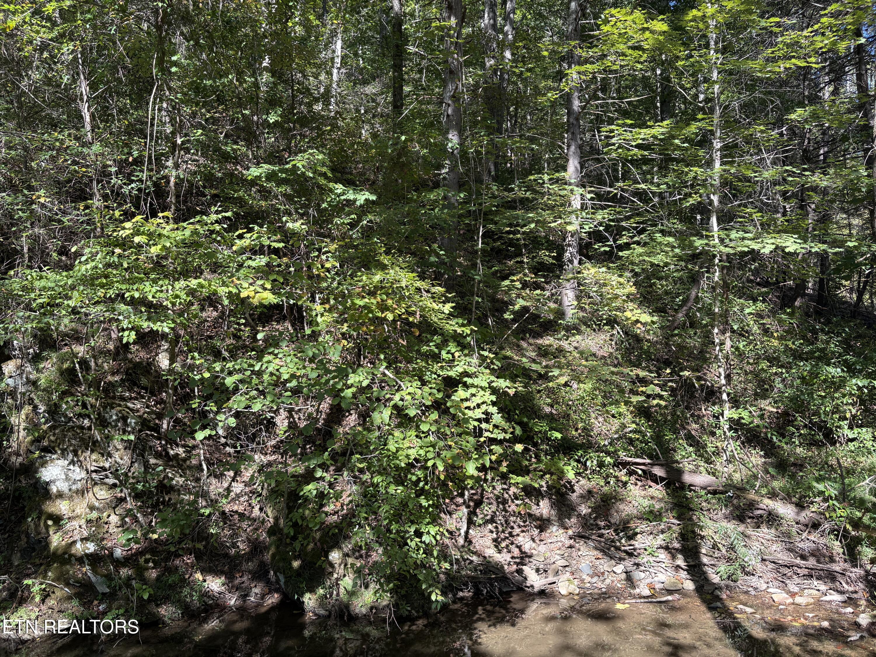N Clearfork Road Sevierville TN 37862