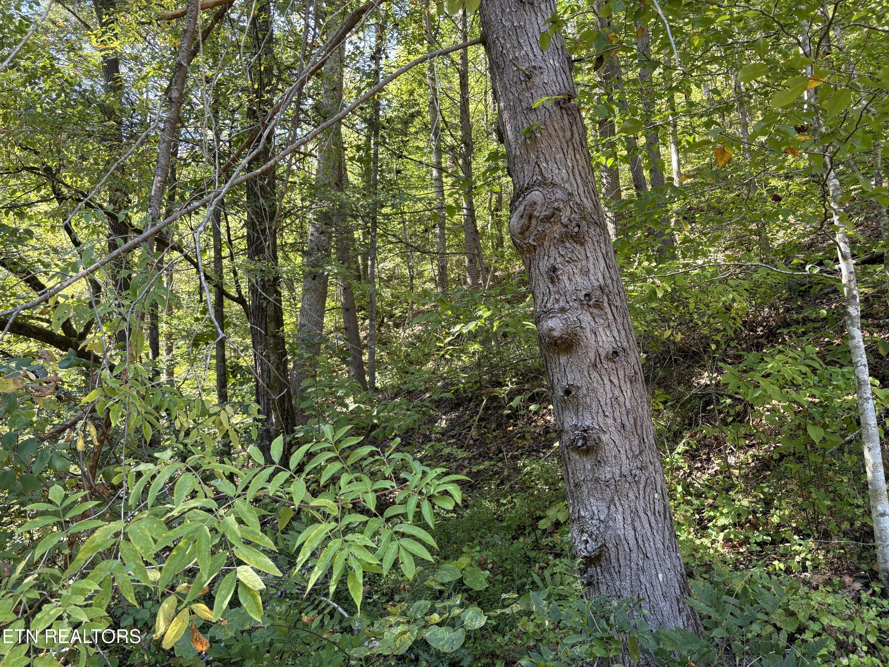 N Clearfork Road Sevierville TN 37862
