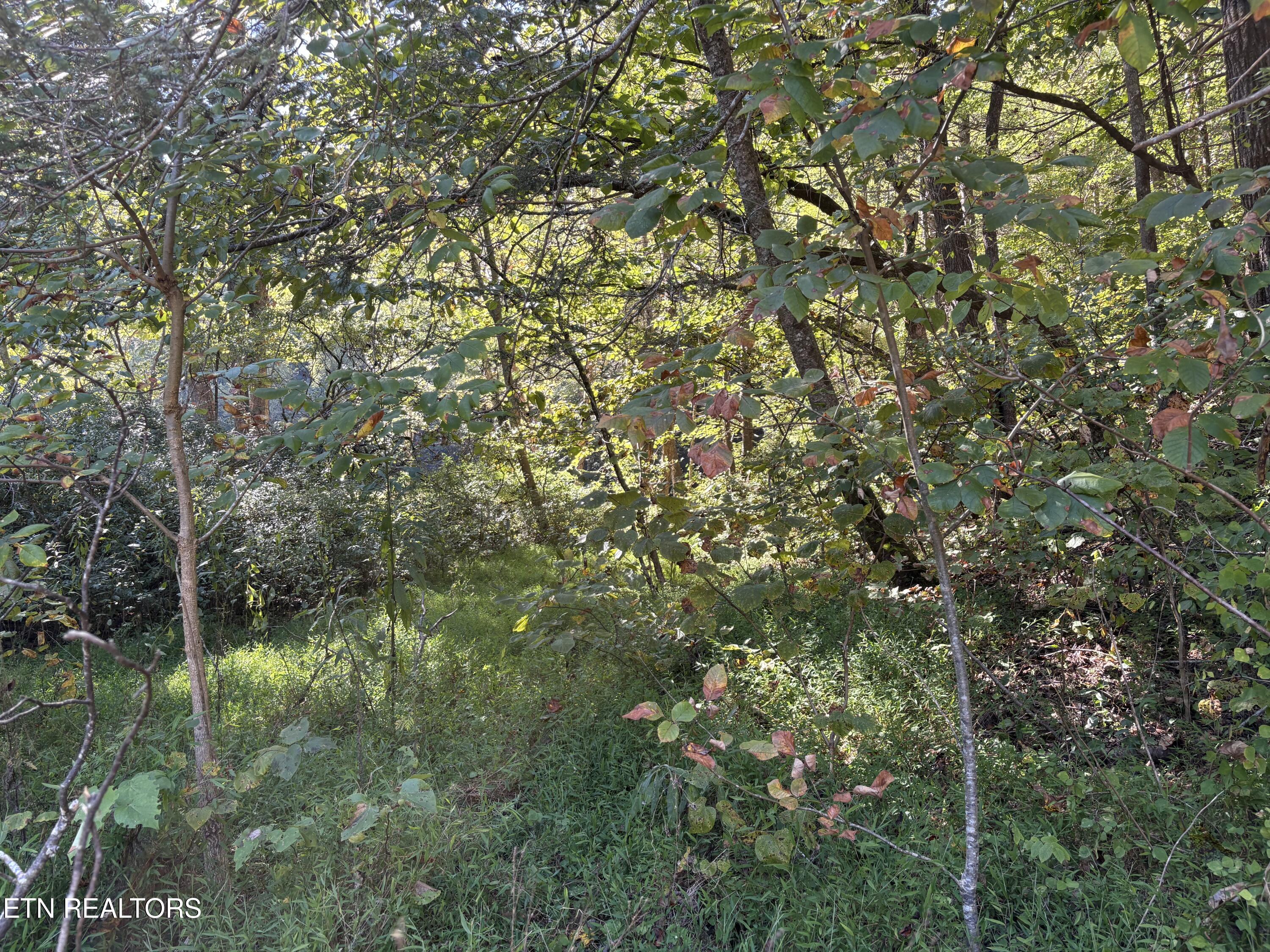 N Clearfork Road Sevierville TN 37862