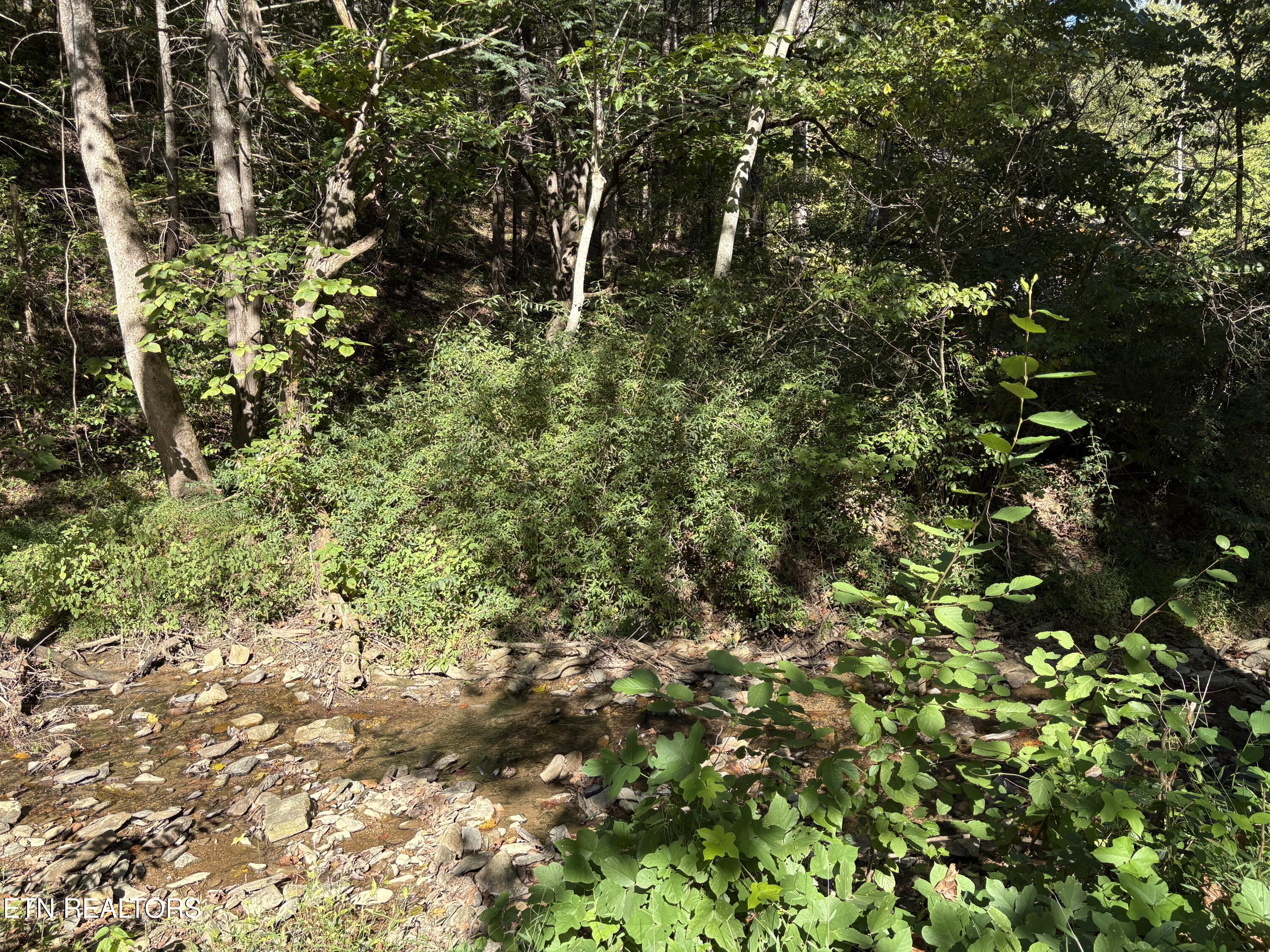 N Clearfork Road Sevierville TN 37862