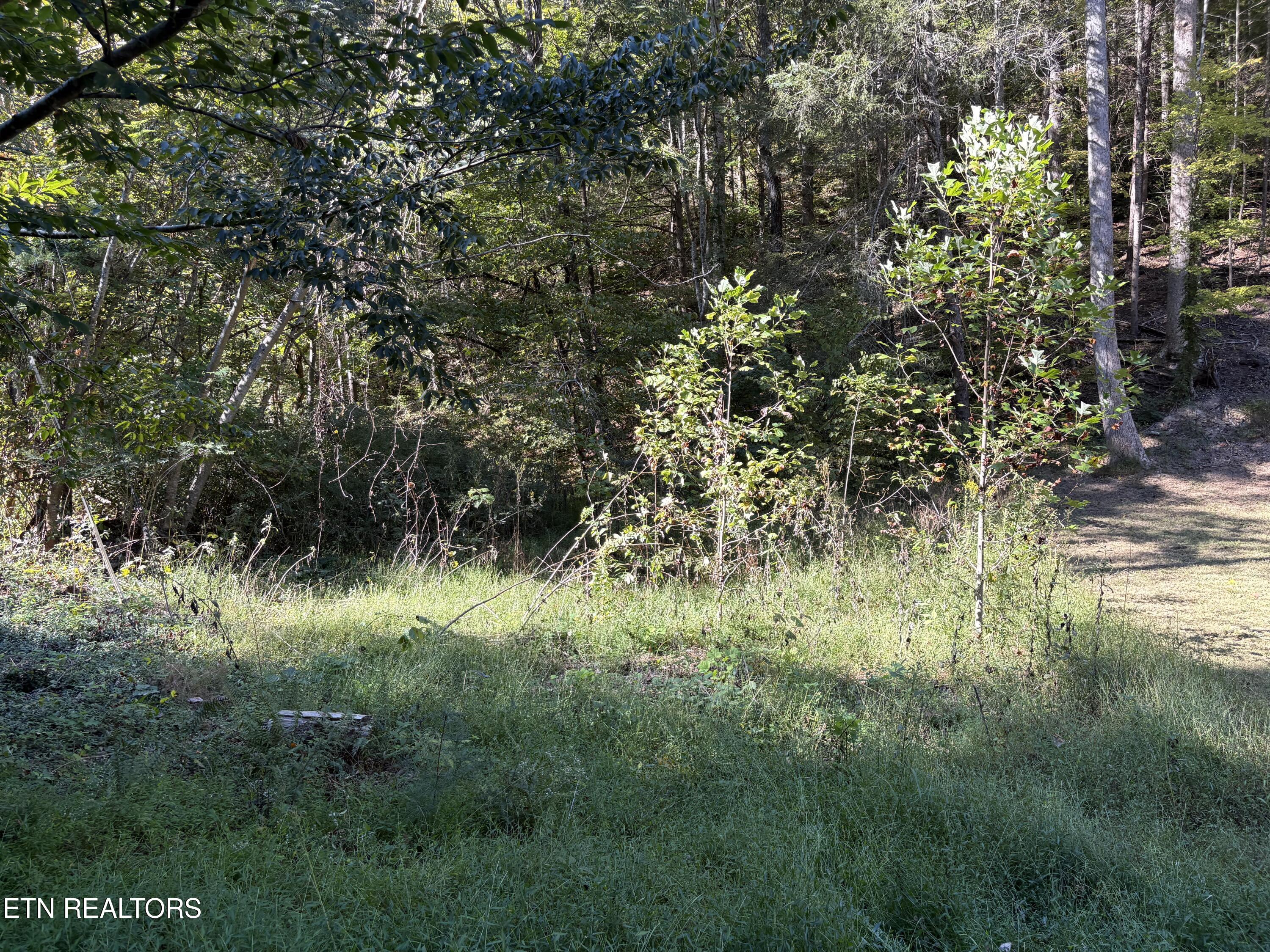 N Clearfork Road Sevierville TN 37862