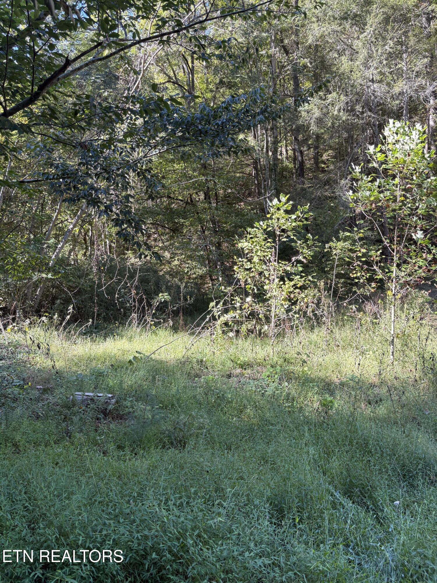 N Clearfork Road Sevierville TN 37862