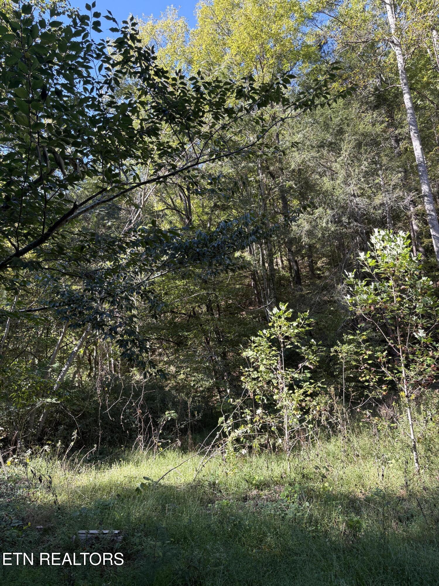 N Clearfork Road Sevierville TN 37862