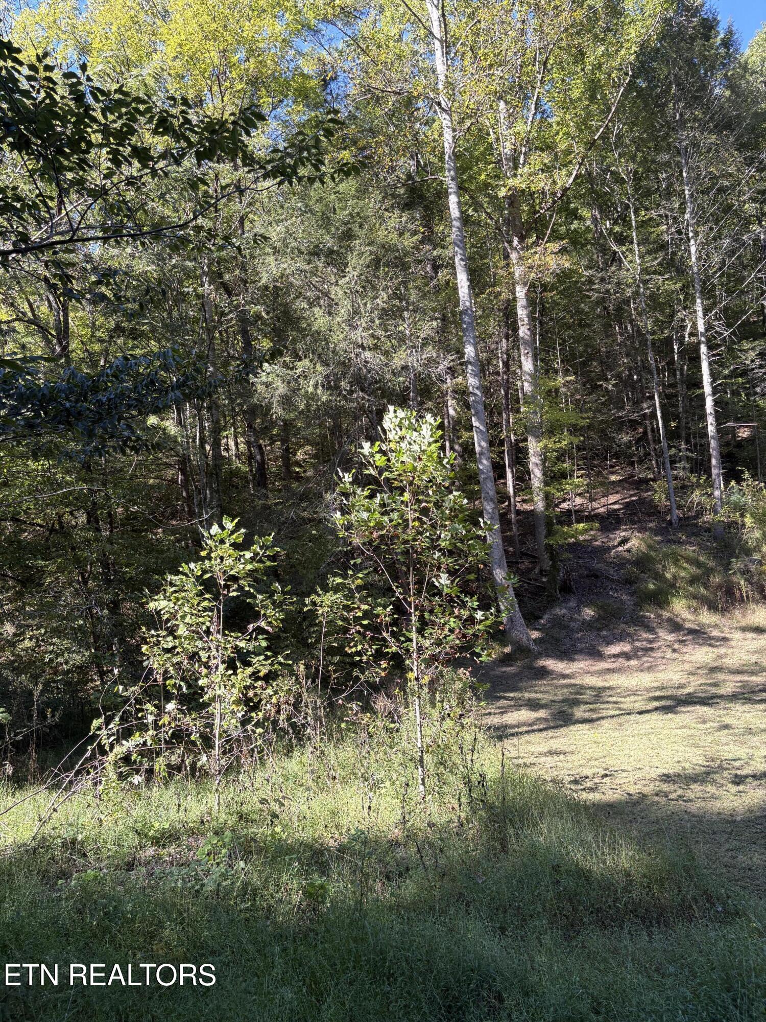 N Clearfork Road Sevierville TN 37862