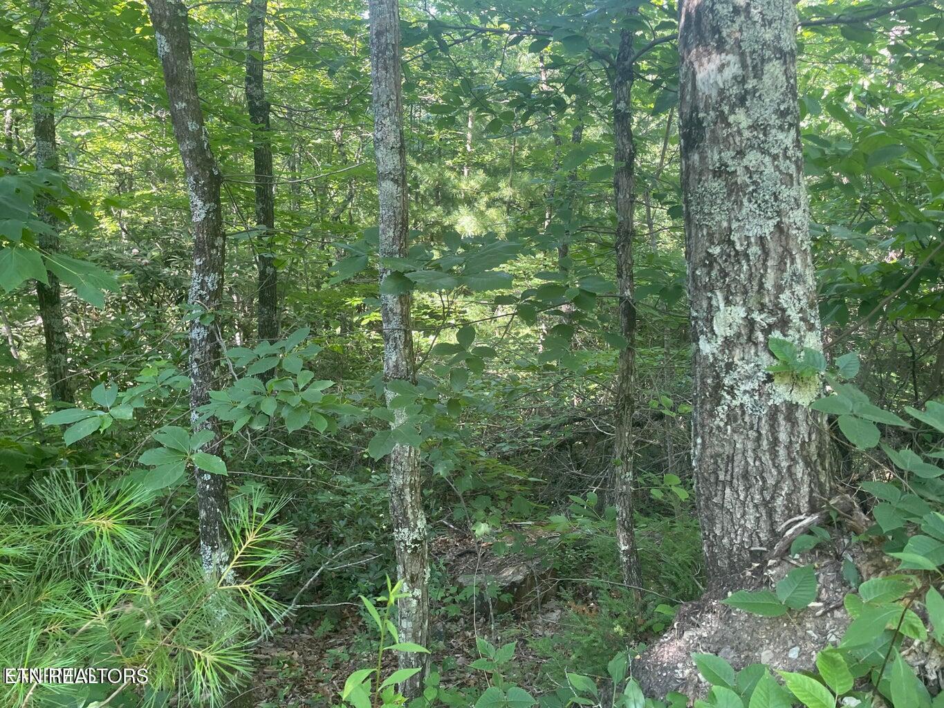 Lot 71 Hazelnut Lane Sevierville TN 37876