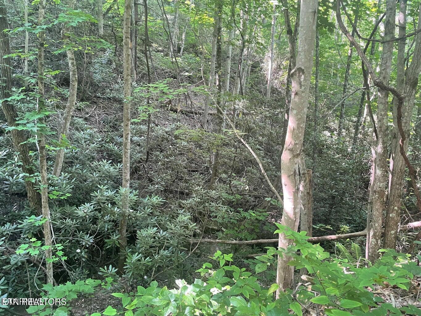 Lot 71 Hazelnut Lane Sevierville TN 37876