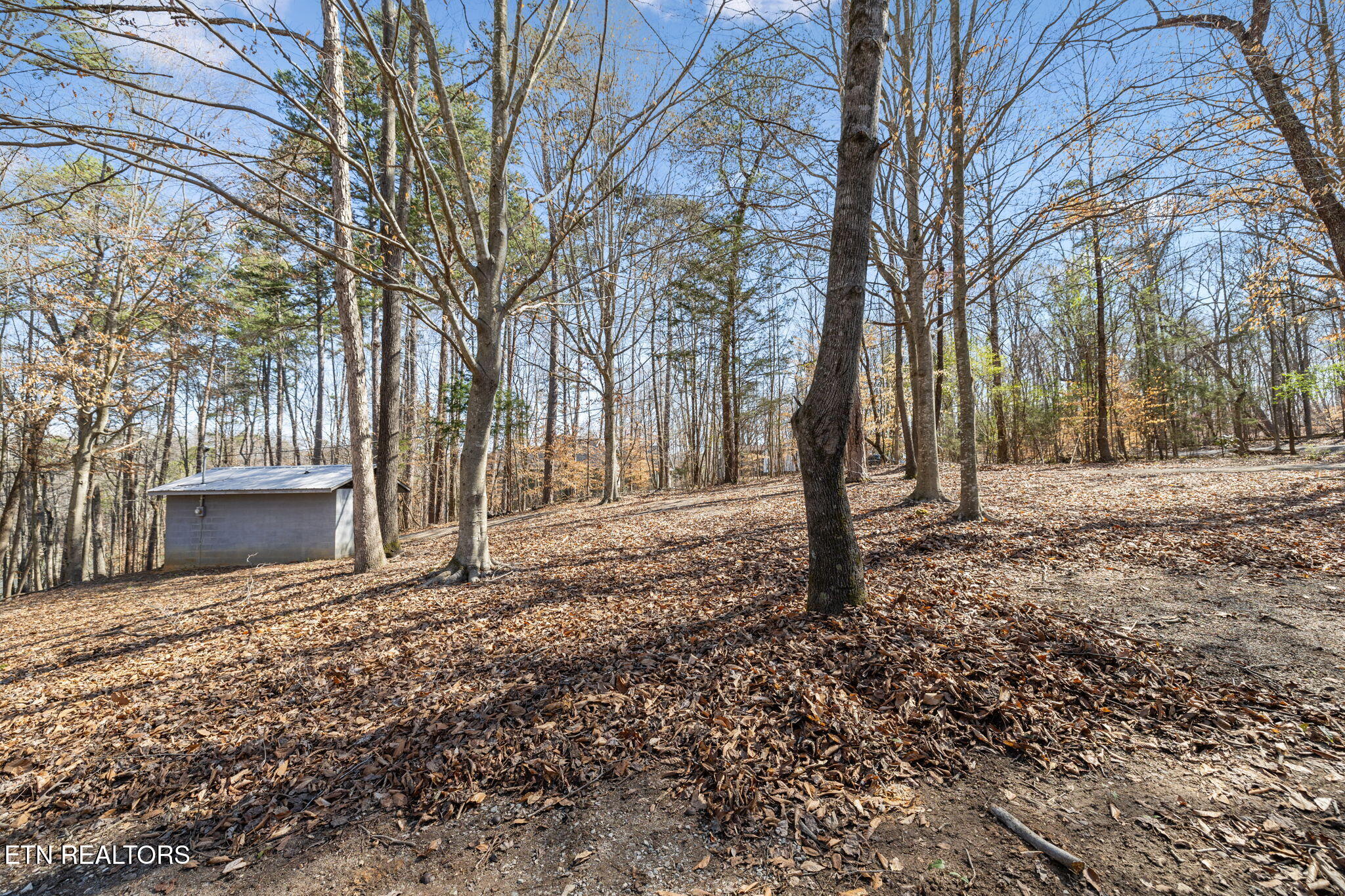 3798 Lakeland Drive Lenoir City TN 37772