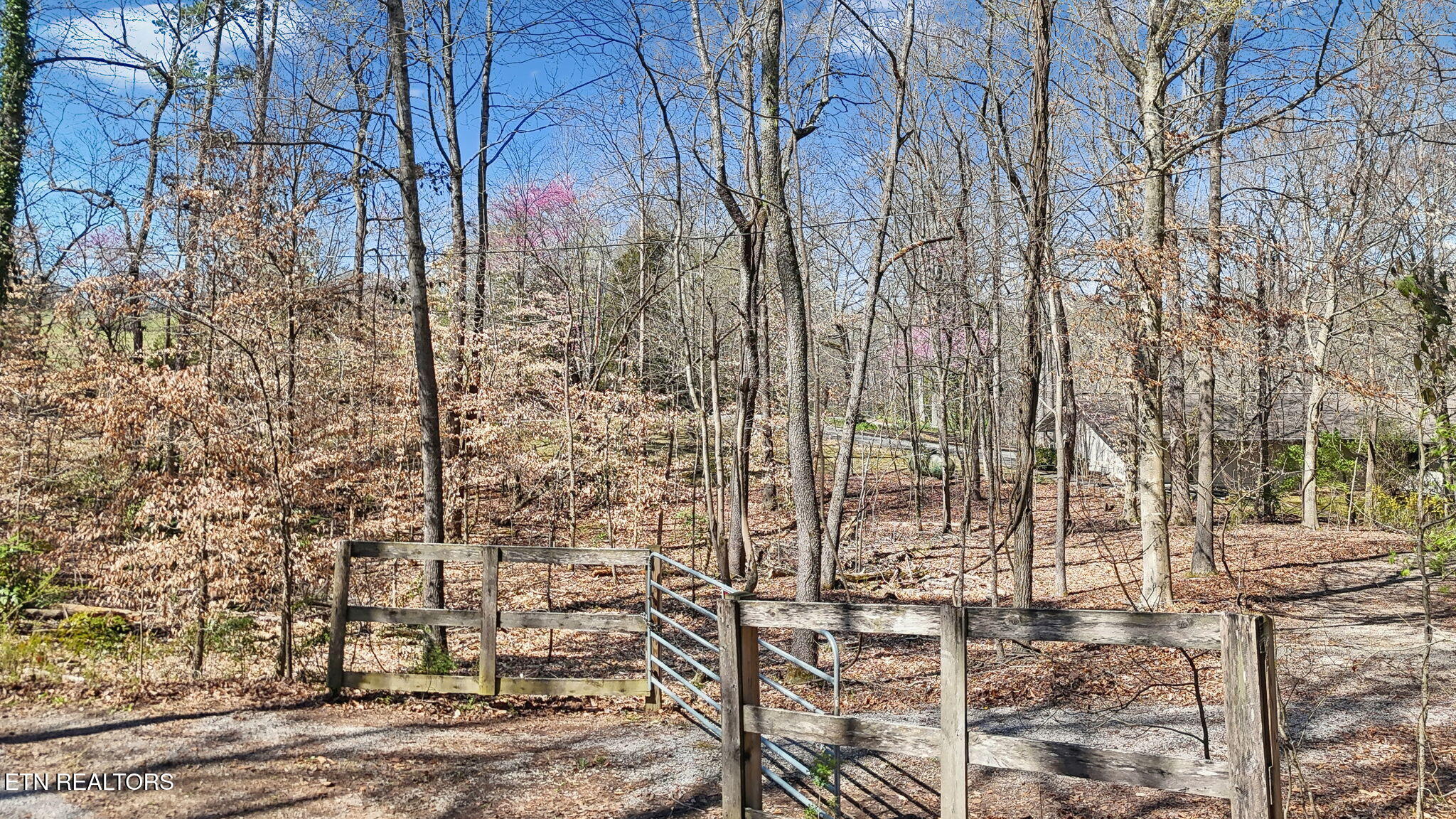 3798 Lakeland Drive Lenoir City TN 37772