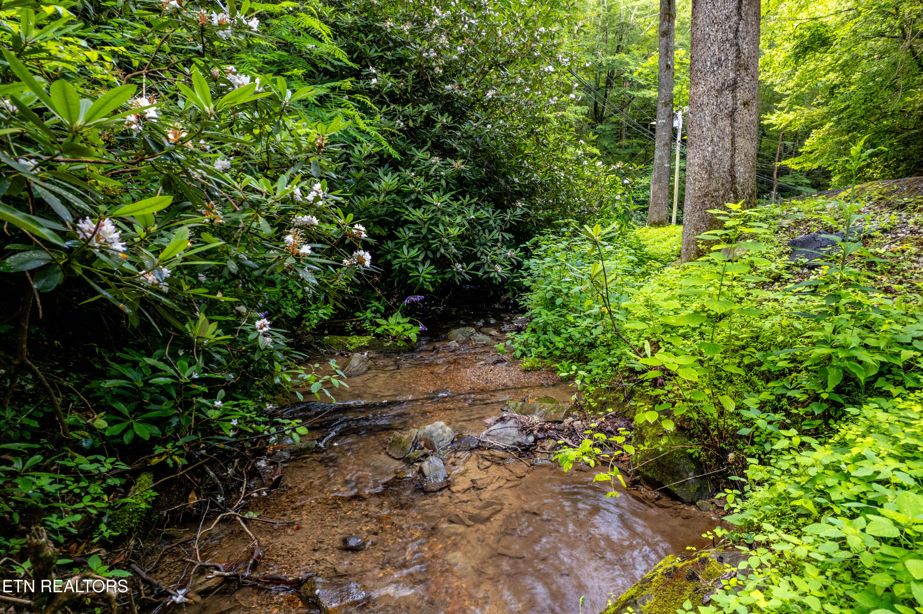 Butler Branch Road Gatlinburg TN 37738