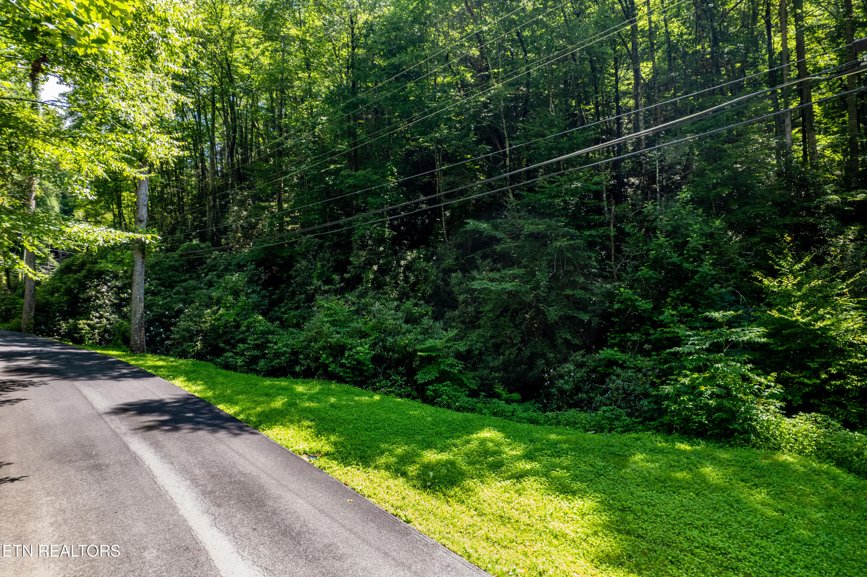 Butler Branch Road Gatlinburg TN 37738