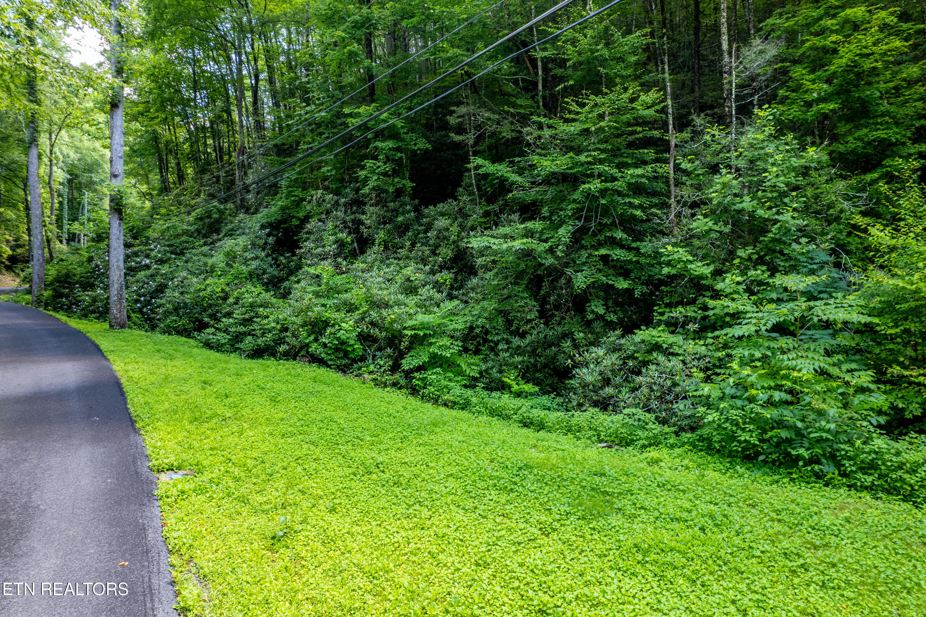 Butler Branch Road Gatlinburg TN 37738
