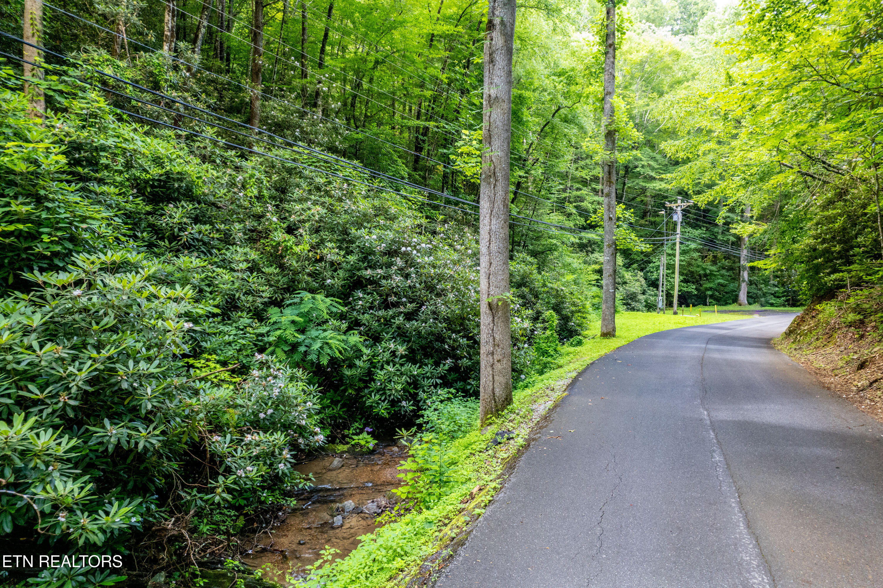 Butler Branch Road Gatlinburg TN 37738