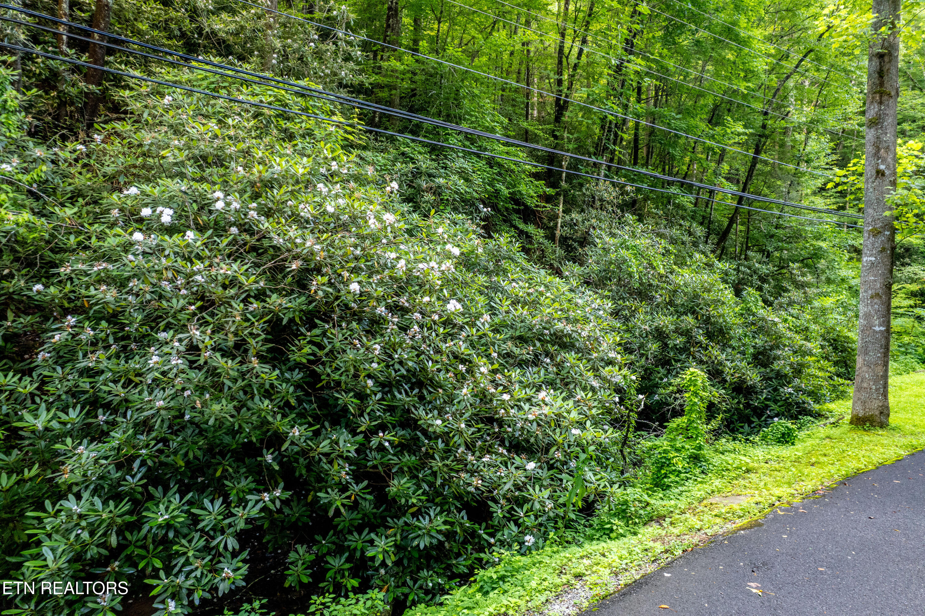 Butler Branch Road Gatlinburg TN 37738