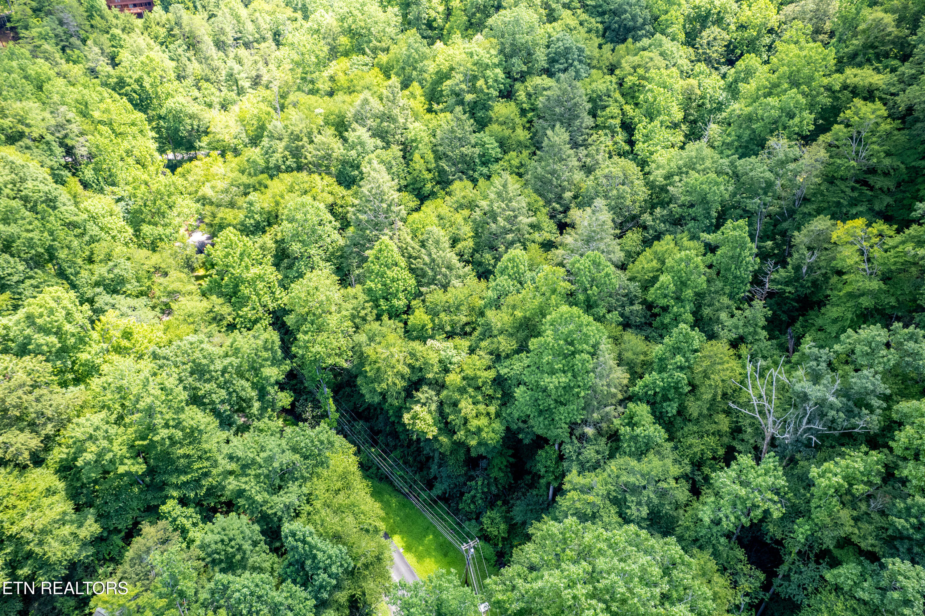 Butler Branch Road Gatlinburg TN 37738
