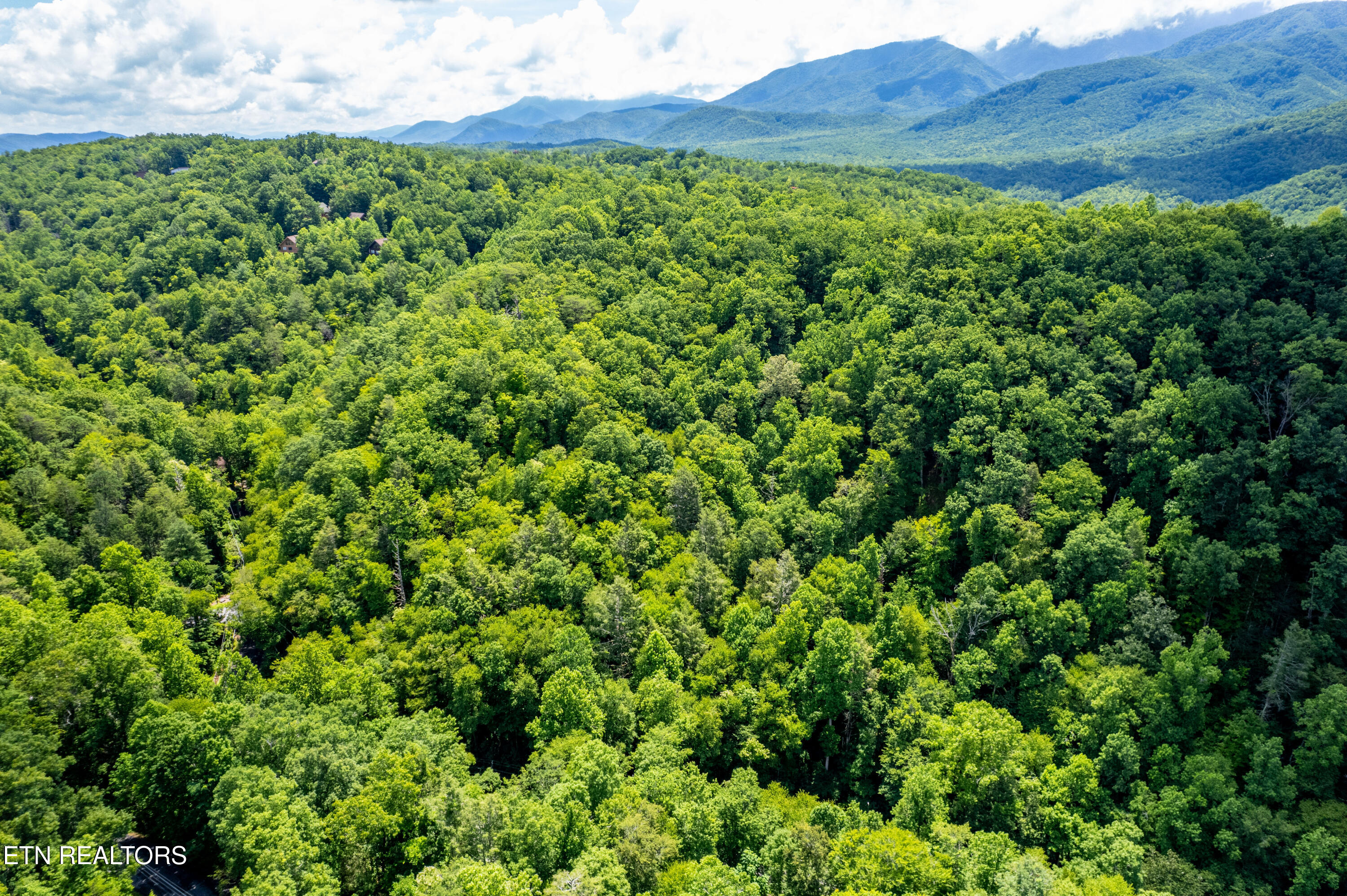 Butler Branch Road Gatlinburg TN 37738