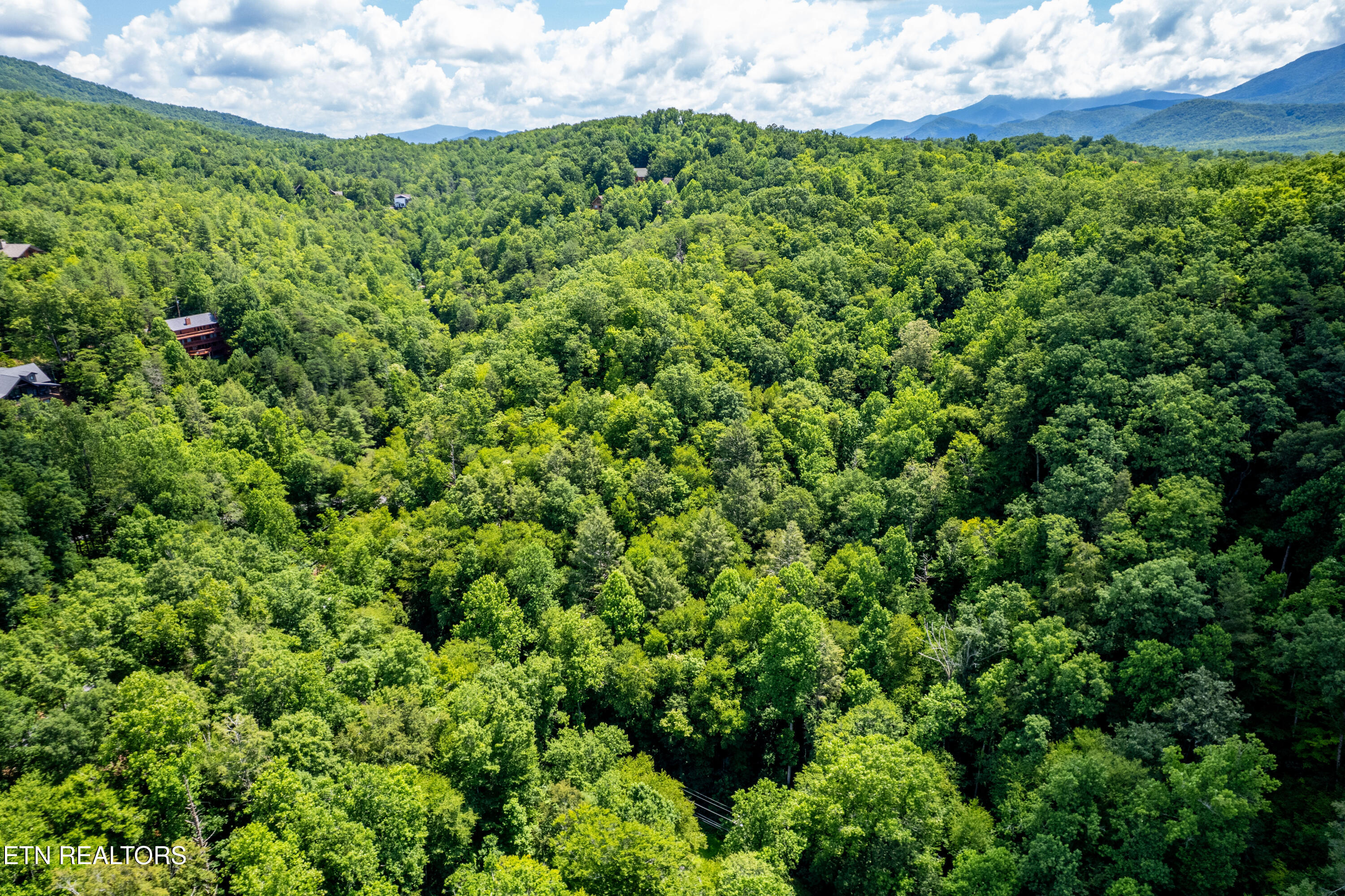 Butler Branch Road Gatlinburg TN 37738