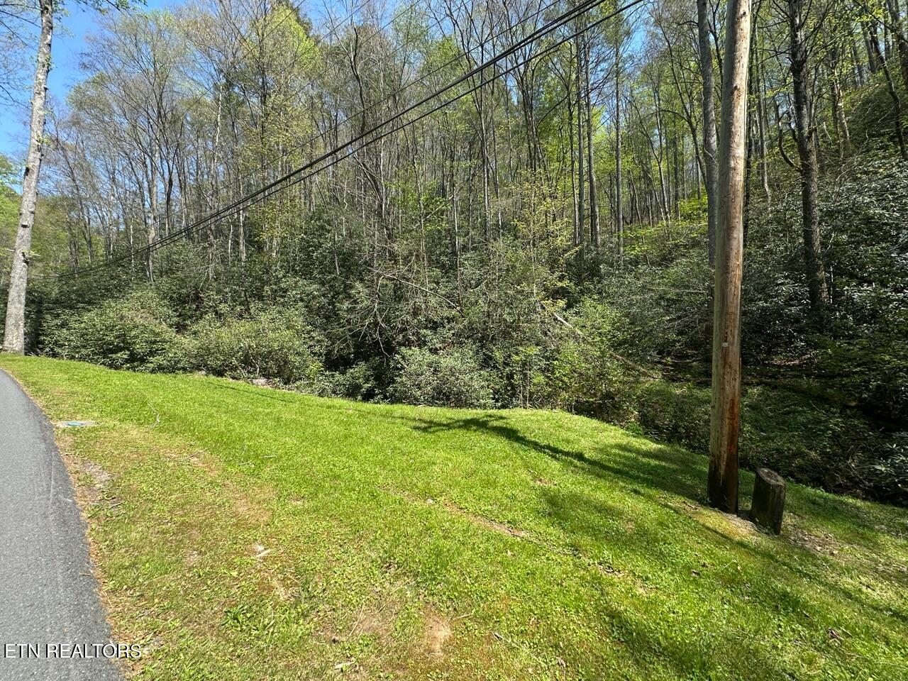 Butler Branch Road Gatlinburg TN 37738