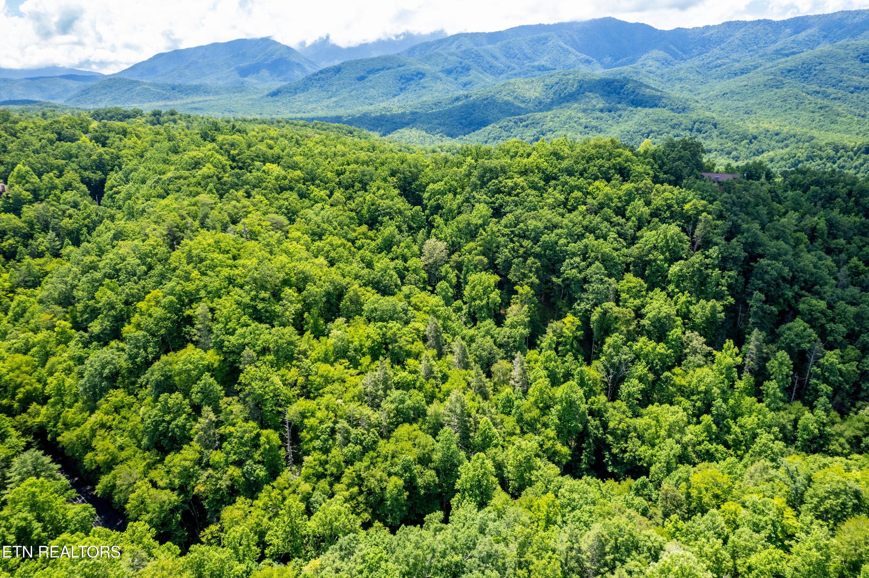 Butler Branch Road Gatlinburg TN 37738