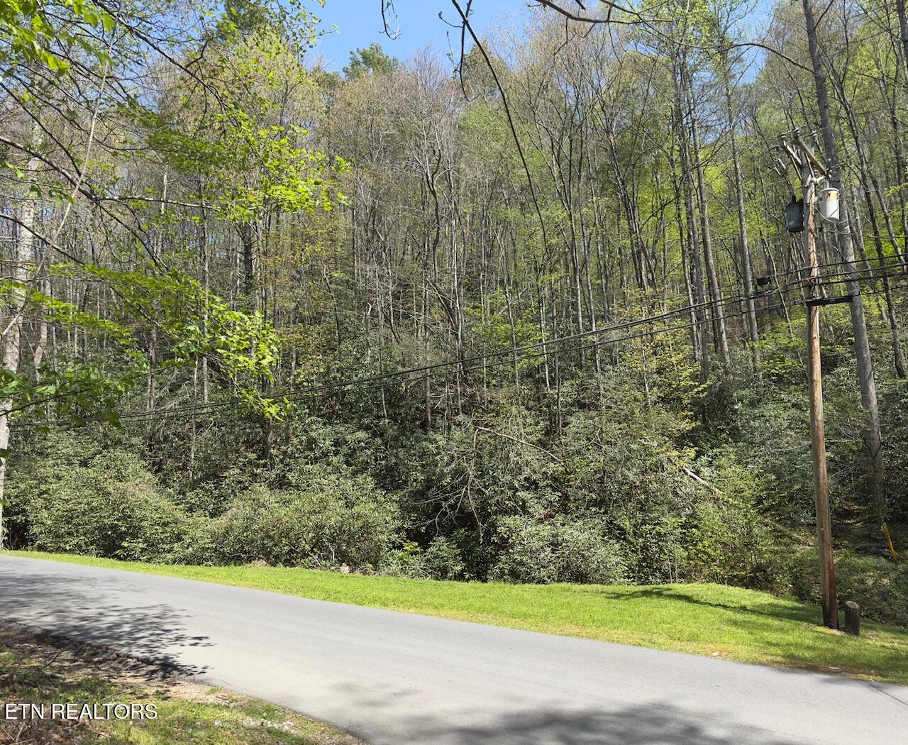 Butler Branch Road Gatlinburg TN 37738