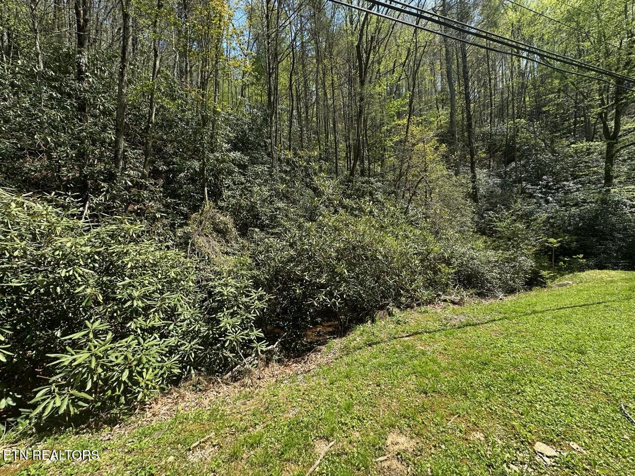 Butler Branch Road Gatlinburg TN 37738