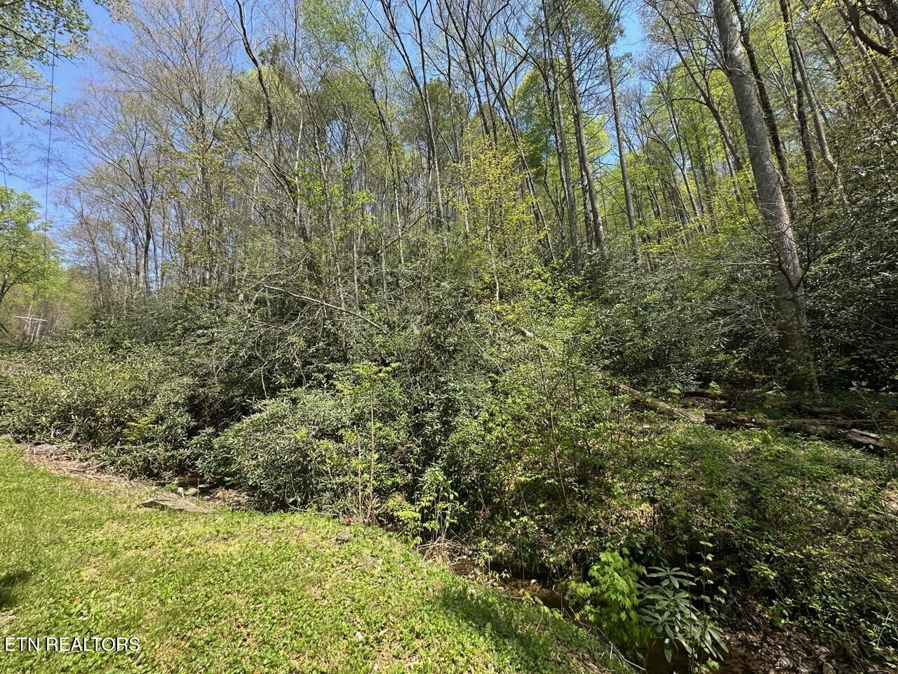 Butler Branch Road Gatlinburg TN 37738