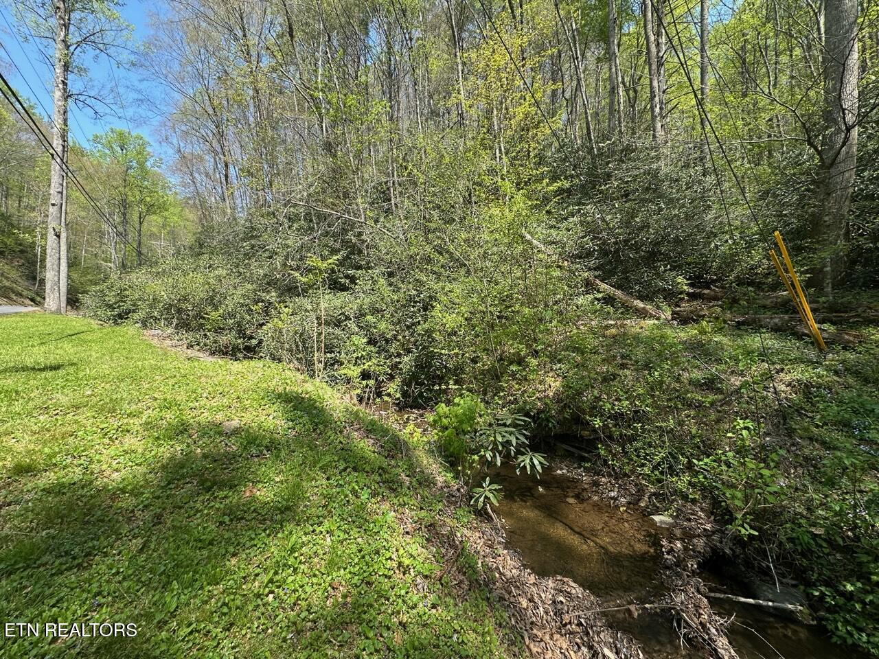 Butler Branch Road Gatlinburg TN 37738