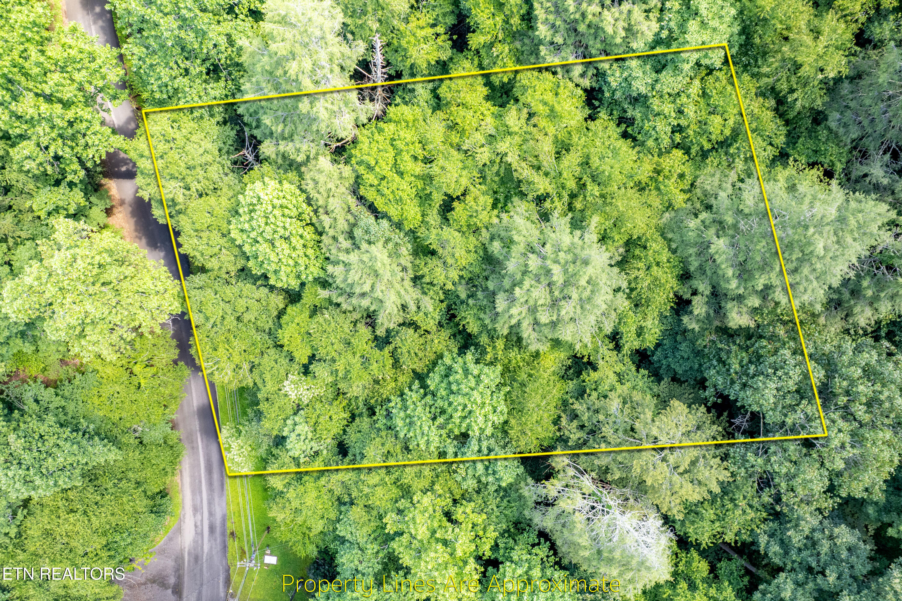 Butler Branch Road Gatlinburg TN 37738