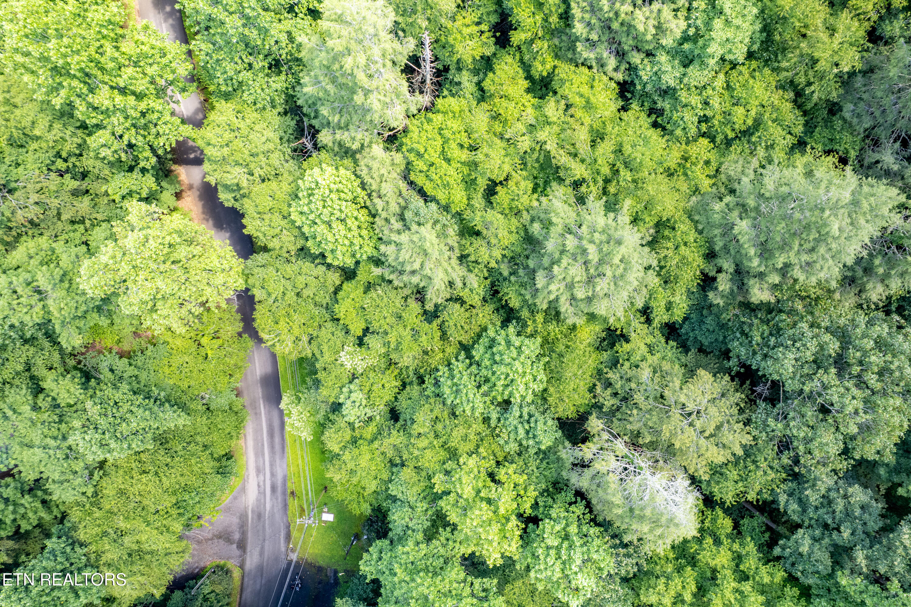 Butler Branch Road Gatlinburg TN 37738