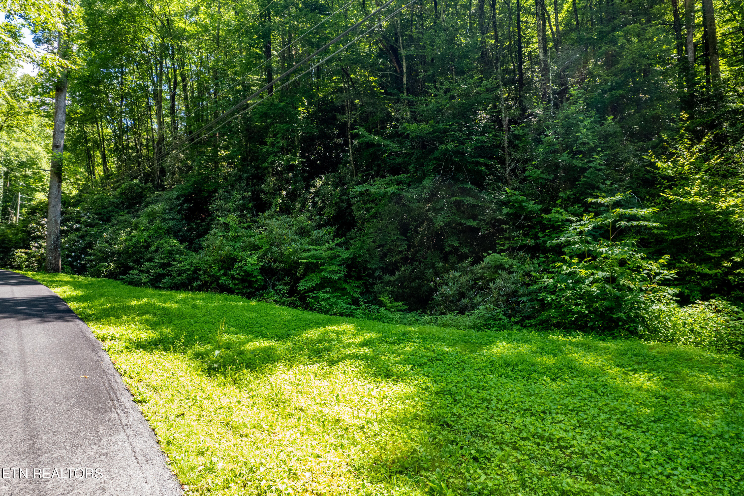 Butler Branch Road Gatlinburg TN 37738