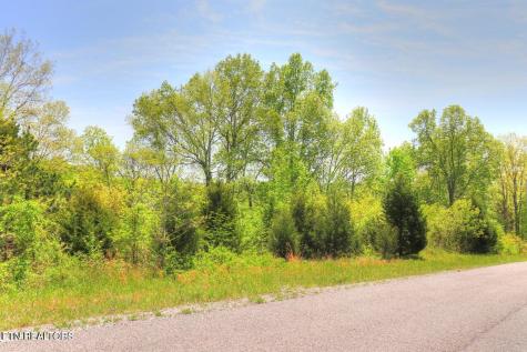 Lot 172 Saddleridge Drive Speedwell TN 37870