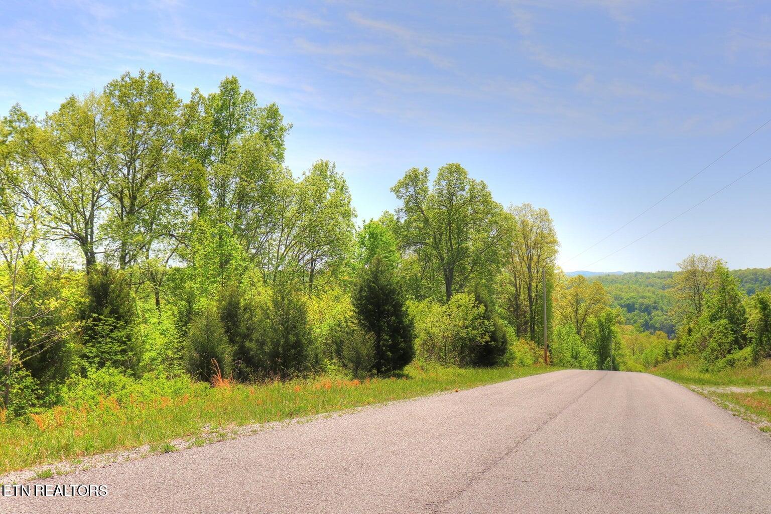 Lot 172 Saddleridge Drive Speedwell TN 37870