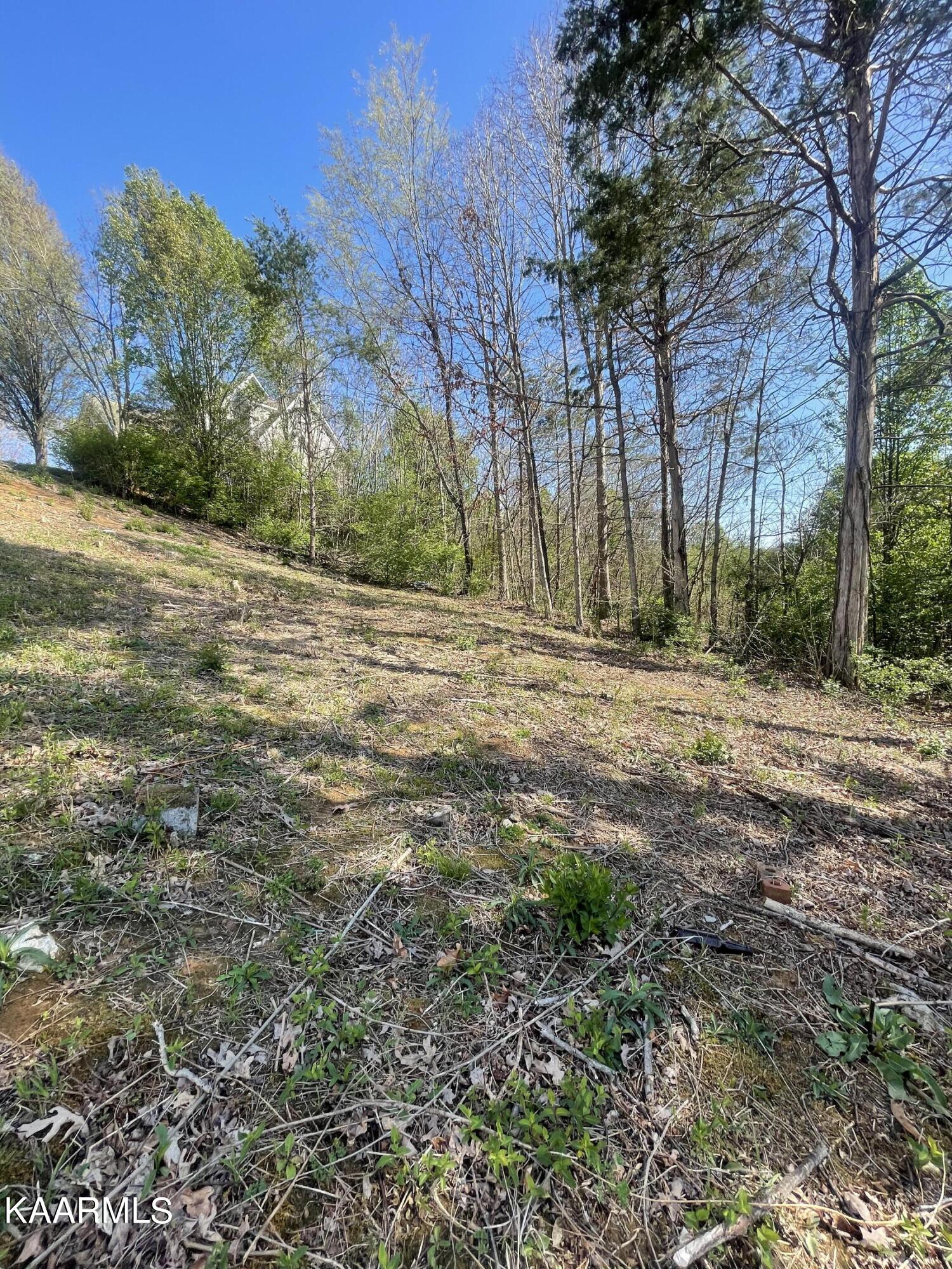 1948 Winter Winds Lane Knoxville TN 37909